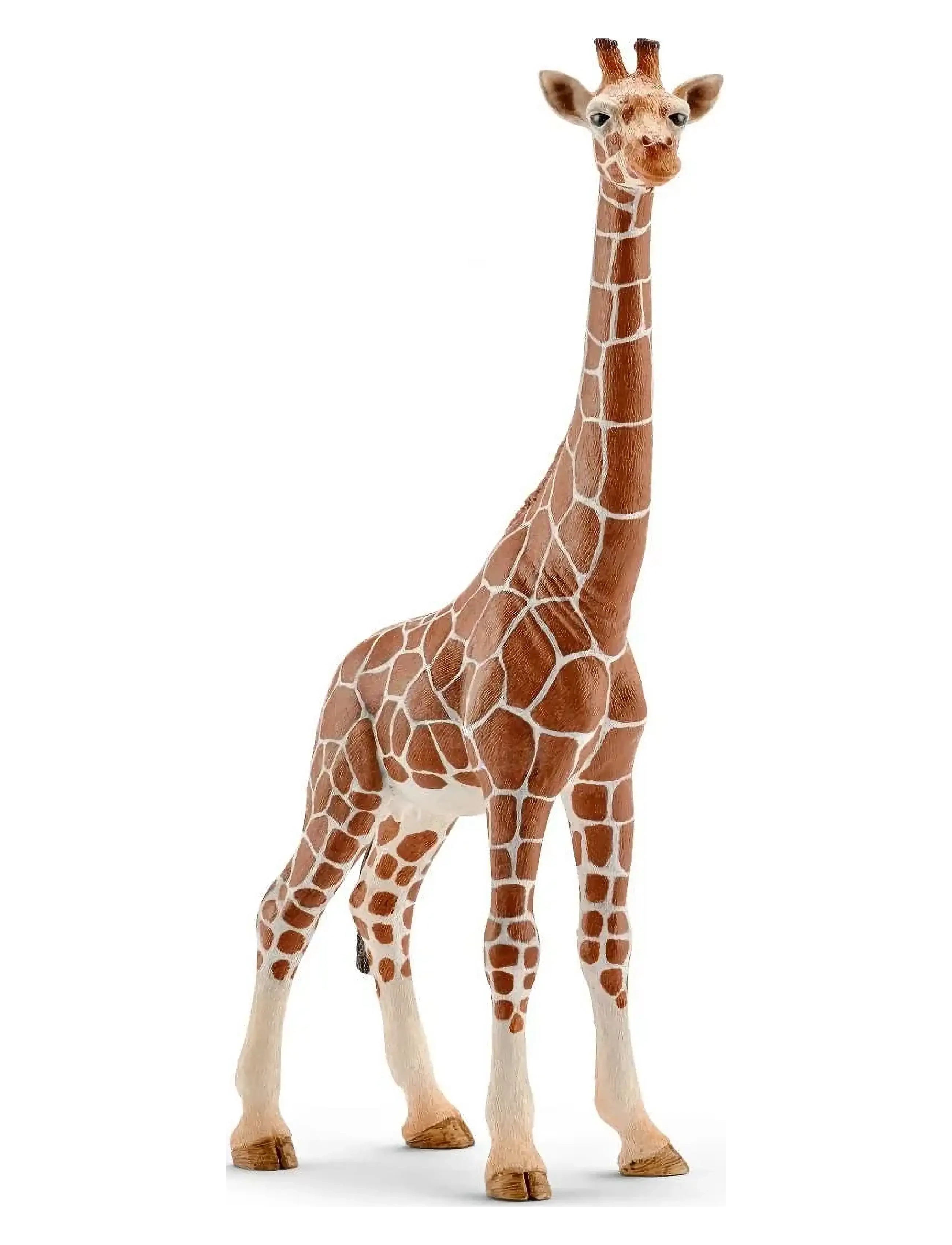 Schleich Schleich Giraffe female - Dyr - MULTI / brown