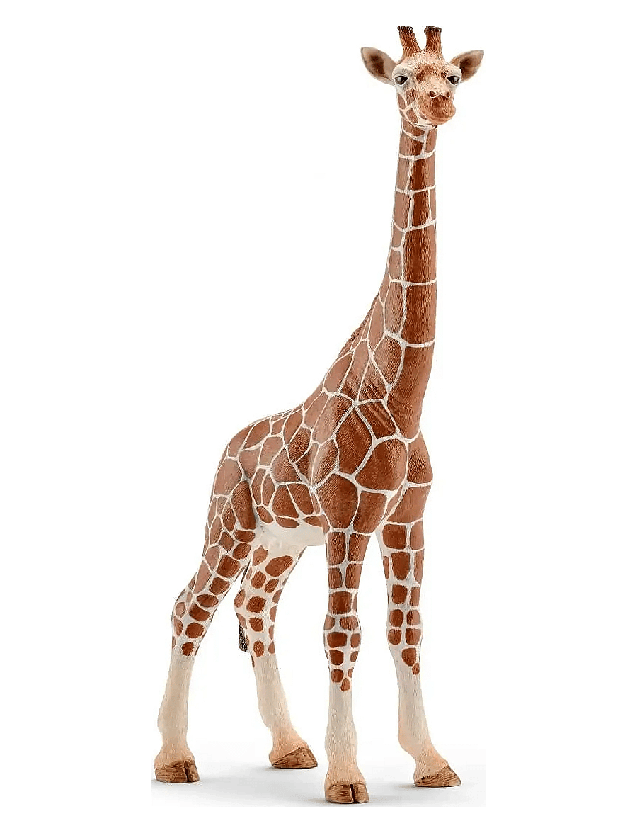 Schleich - Schleich Giraffe female - dýr - multi - 0