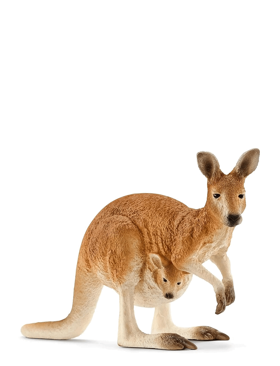 Schleich - Schleich Kangaroo - djur - multi - 1