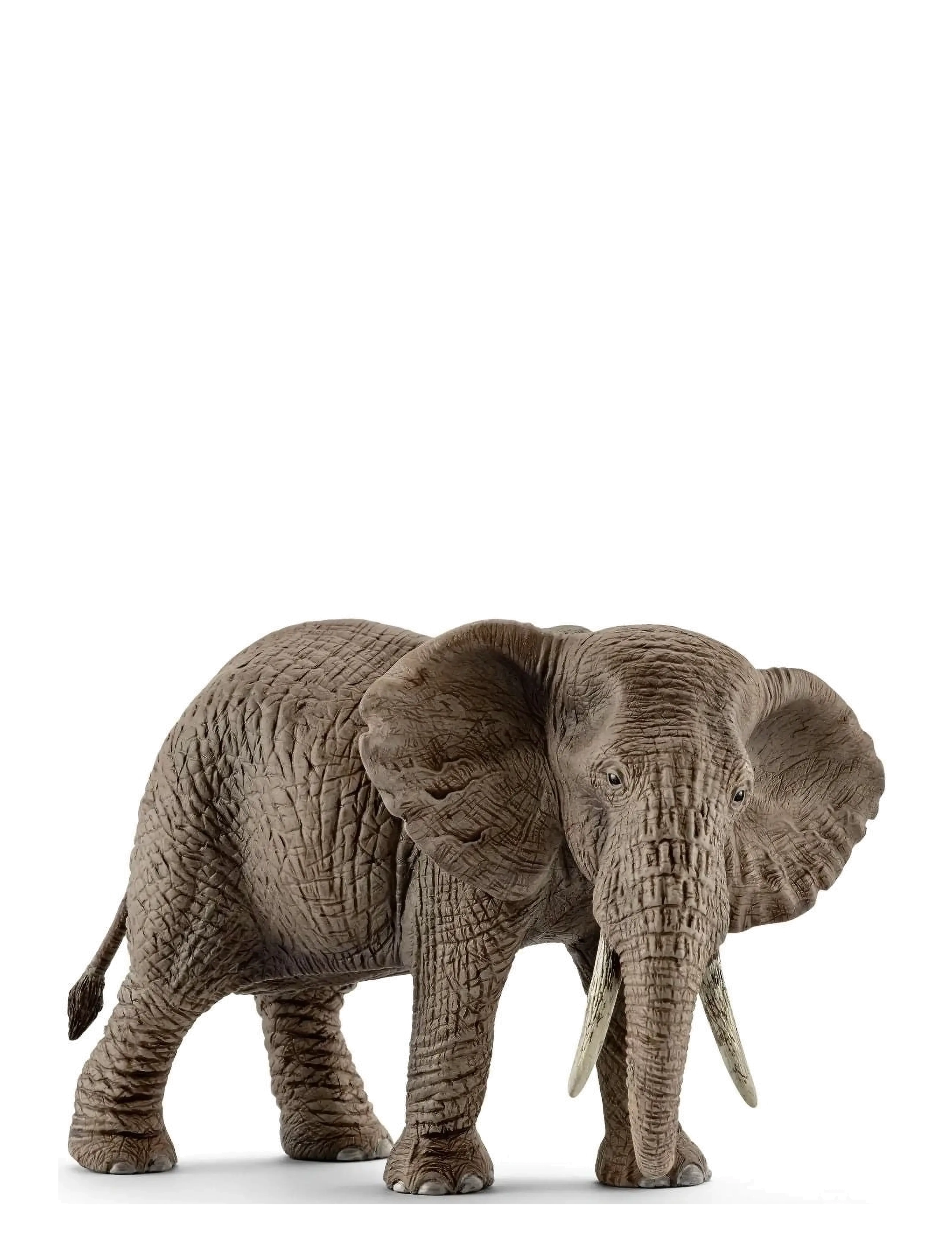 Schleich Schleich African elephant female - Dyr - MULTI / multi