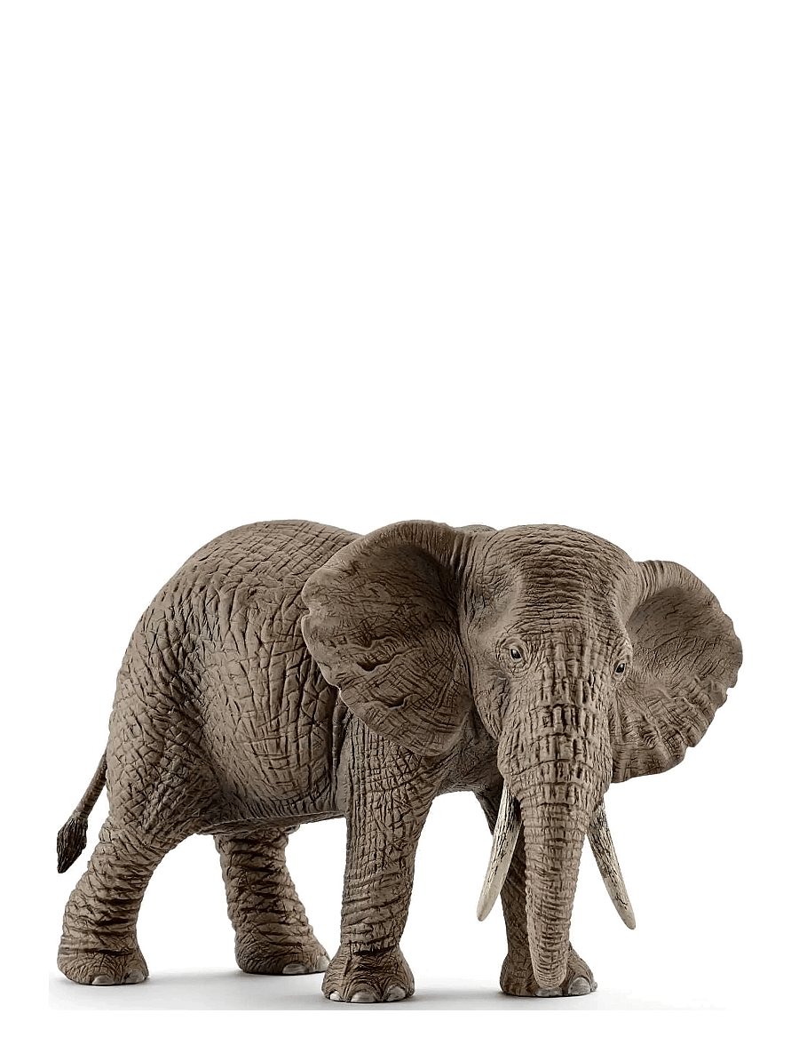 Schleich - Schleich African elephant female - dýr - multi - 1