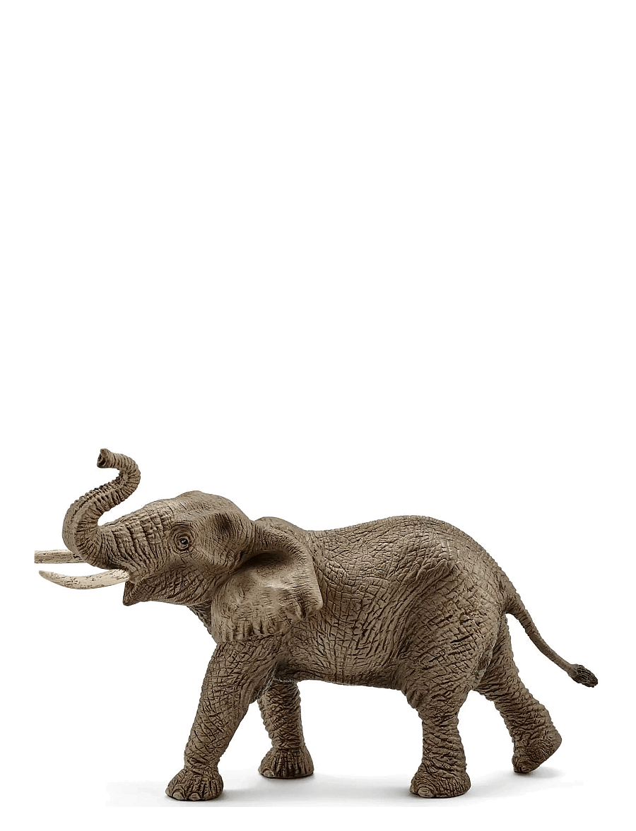 Schleich - Schleich African elephant male - dyr - multi - 1