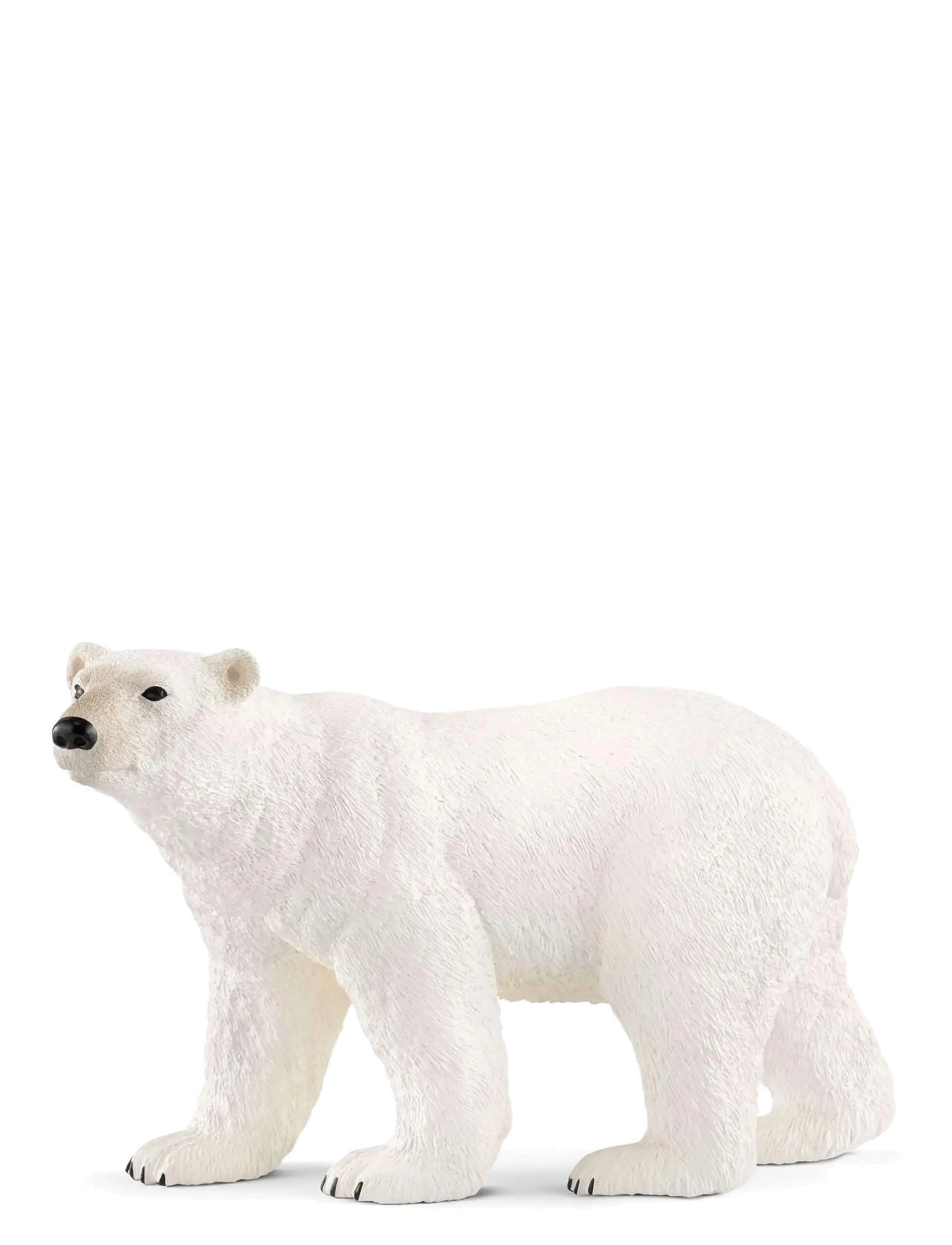 Schleich Schleich Polar Bear, One Size, White, Legesæt & Actionfigurer > Dyr, Børn