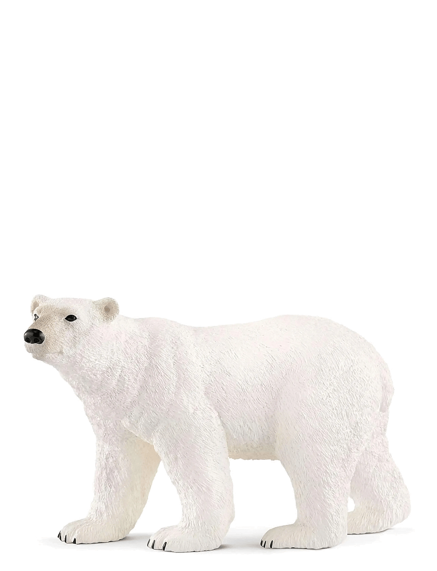 Schleich - Schleich Polar bear - lowest prices - multi - 0