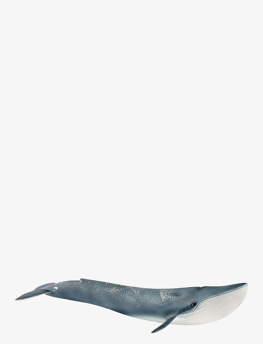Schleich - Schleich Blue Whale - djur - multi - 1