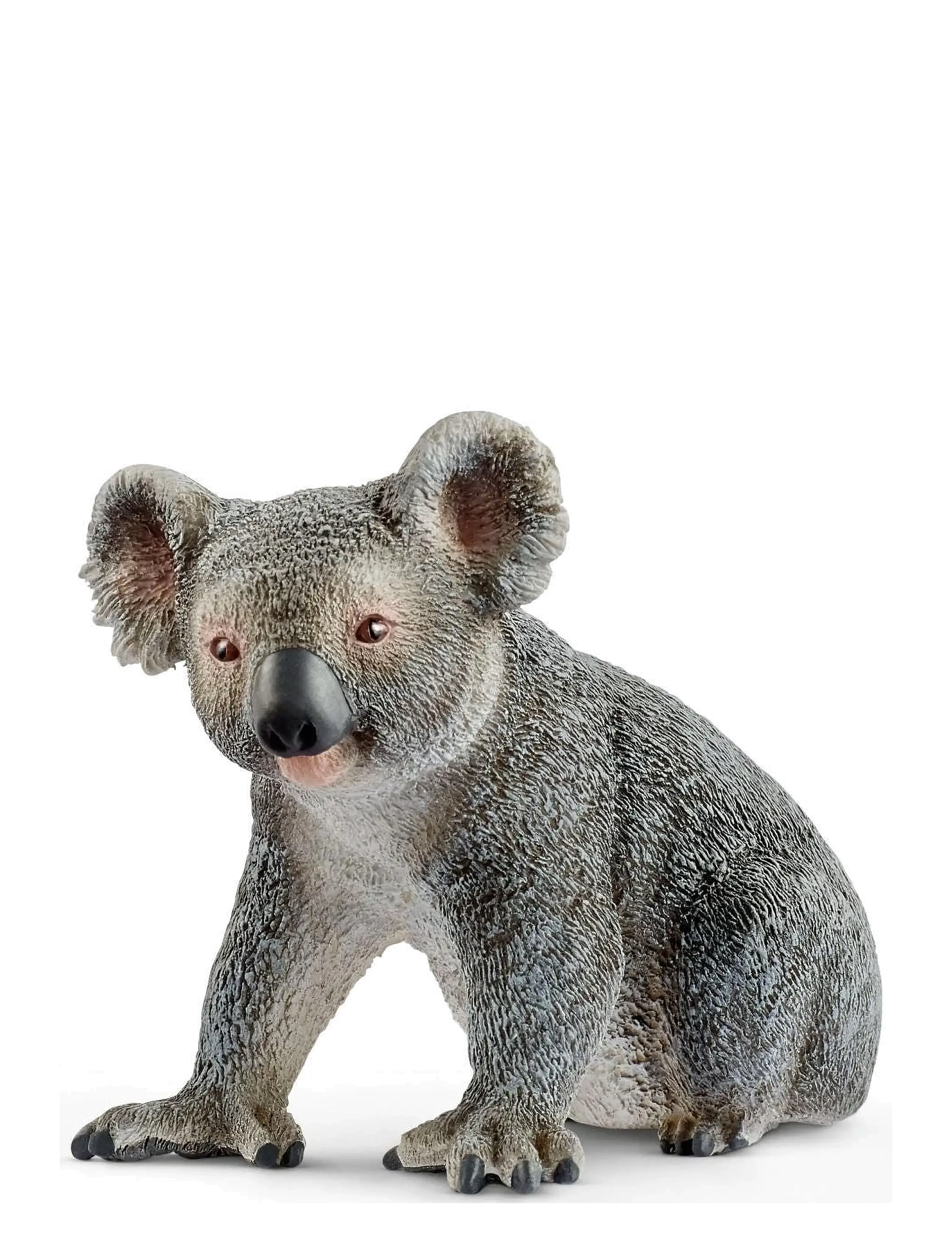 Schleich Schleich Koala bear - Dyr - MULTI / multi