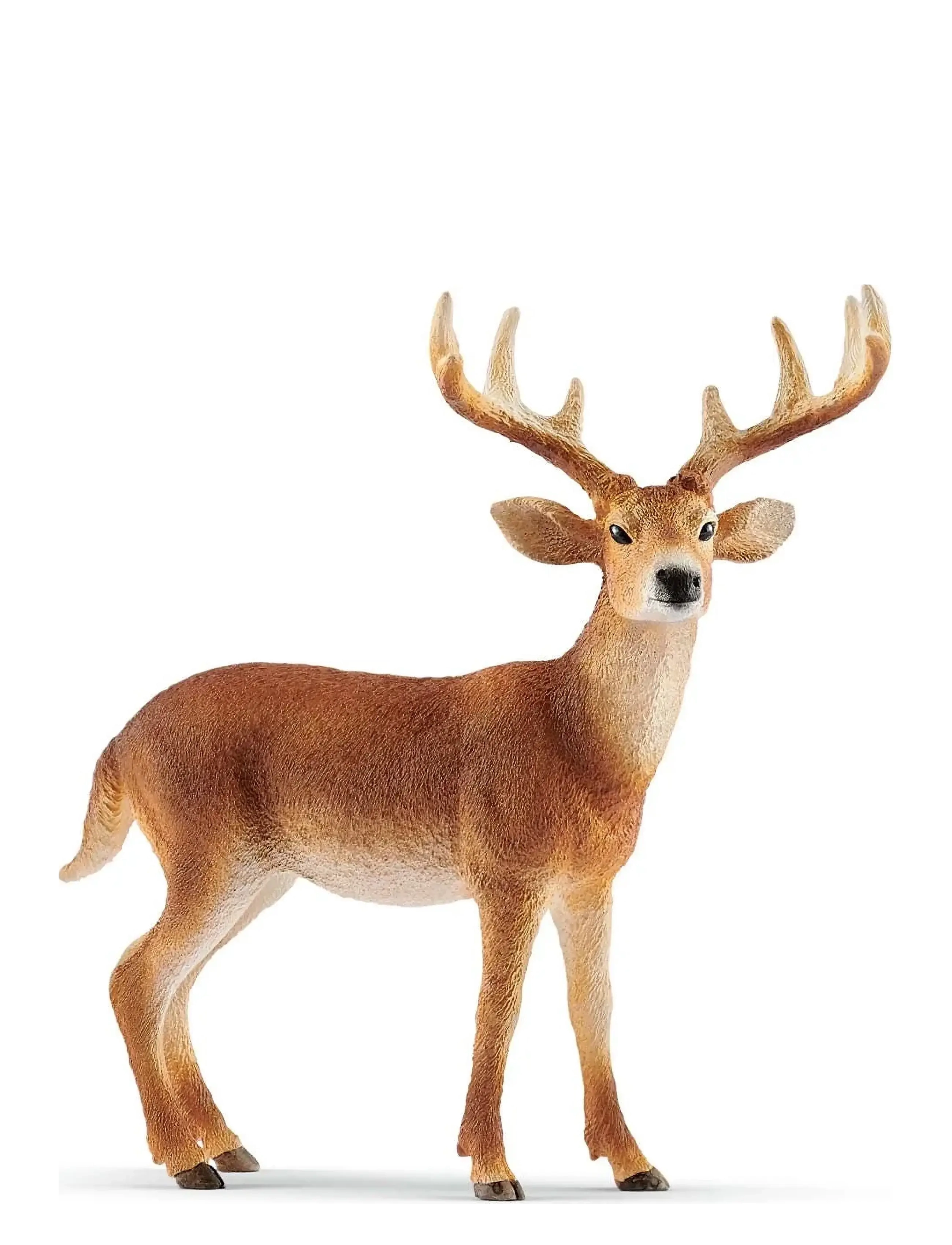 Schleich Schleich White-Tailed Buck, One Size, Orange, Legesæt & Actionfigurer > Dyr, Børn