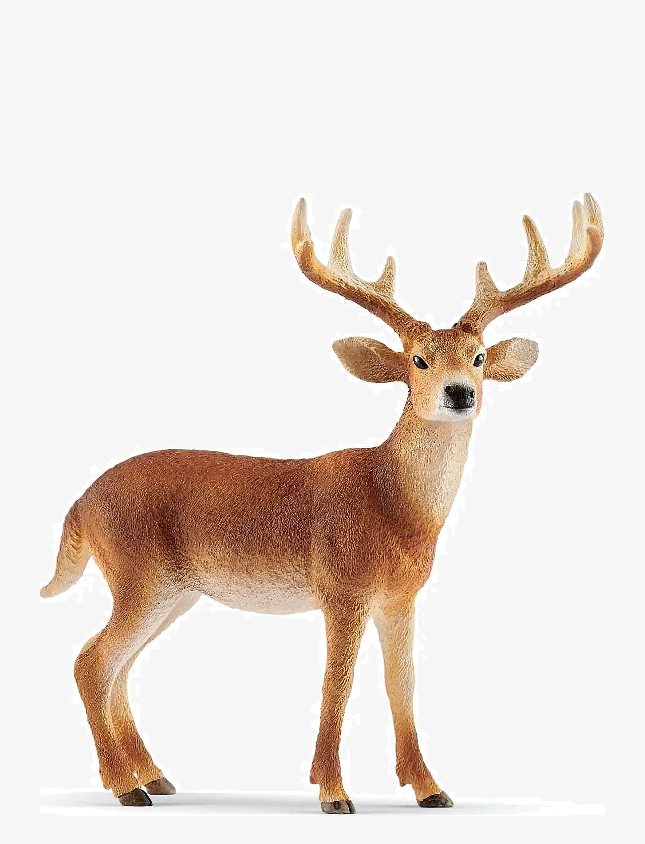 Schleich - Schleich White-Tailed Buck - laveste priser - multi - 0