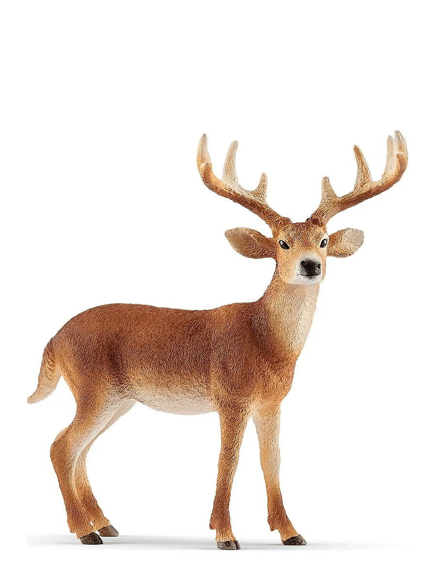 Schleich - Schleich White-Tailed Buck - lowest prices - multi - 0