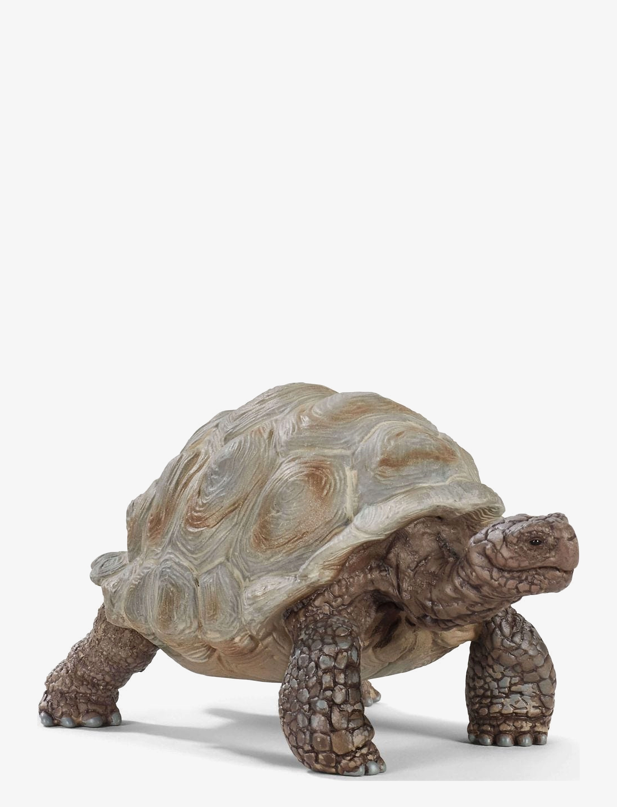 Schleich Schleich Giant Tortoise - Legetøj - MULTI / multi