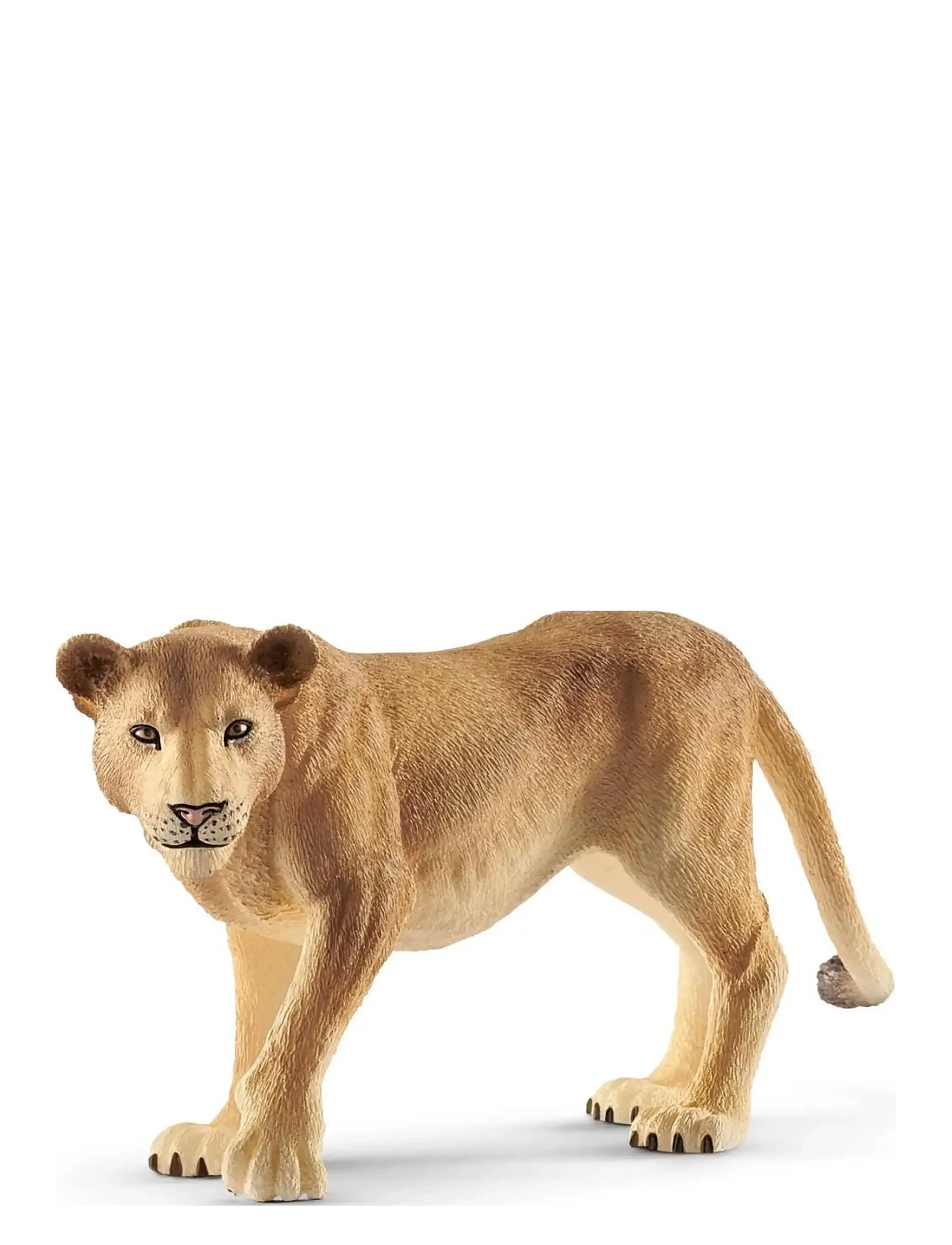 Schleich Lioness, Børn, Dyr, Beige, Str: ONE SIZE