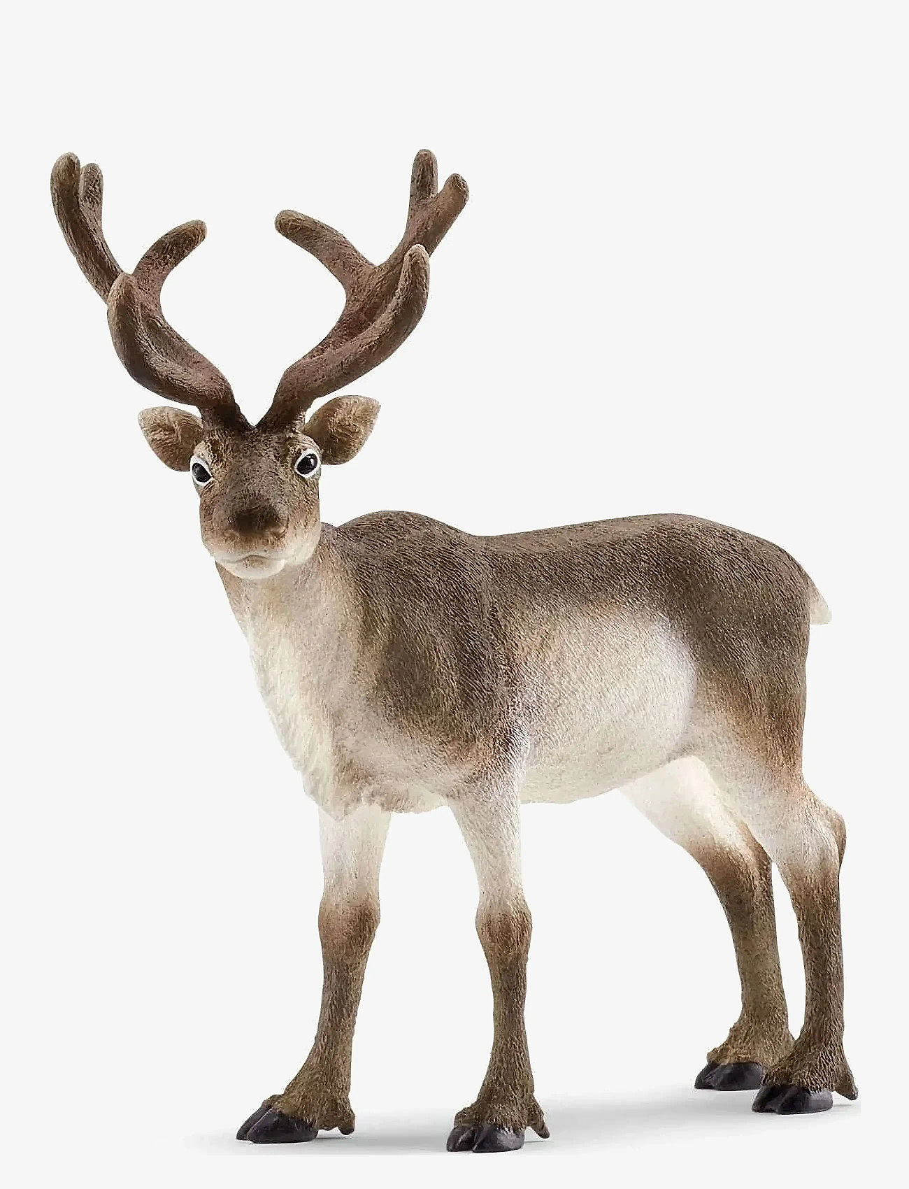 Schleich - Schleich Reindeer - laveste priser - multi - 0