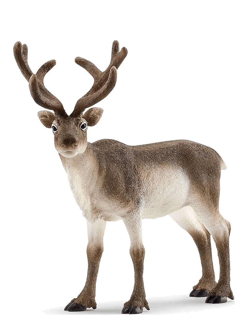 Schleich - Schleich Reindeer - dýr - multi - 0