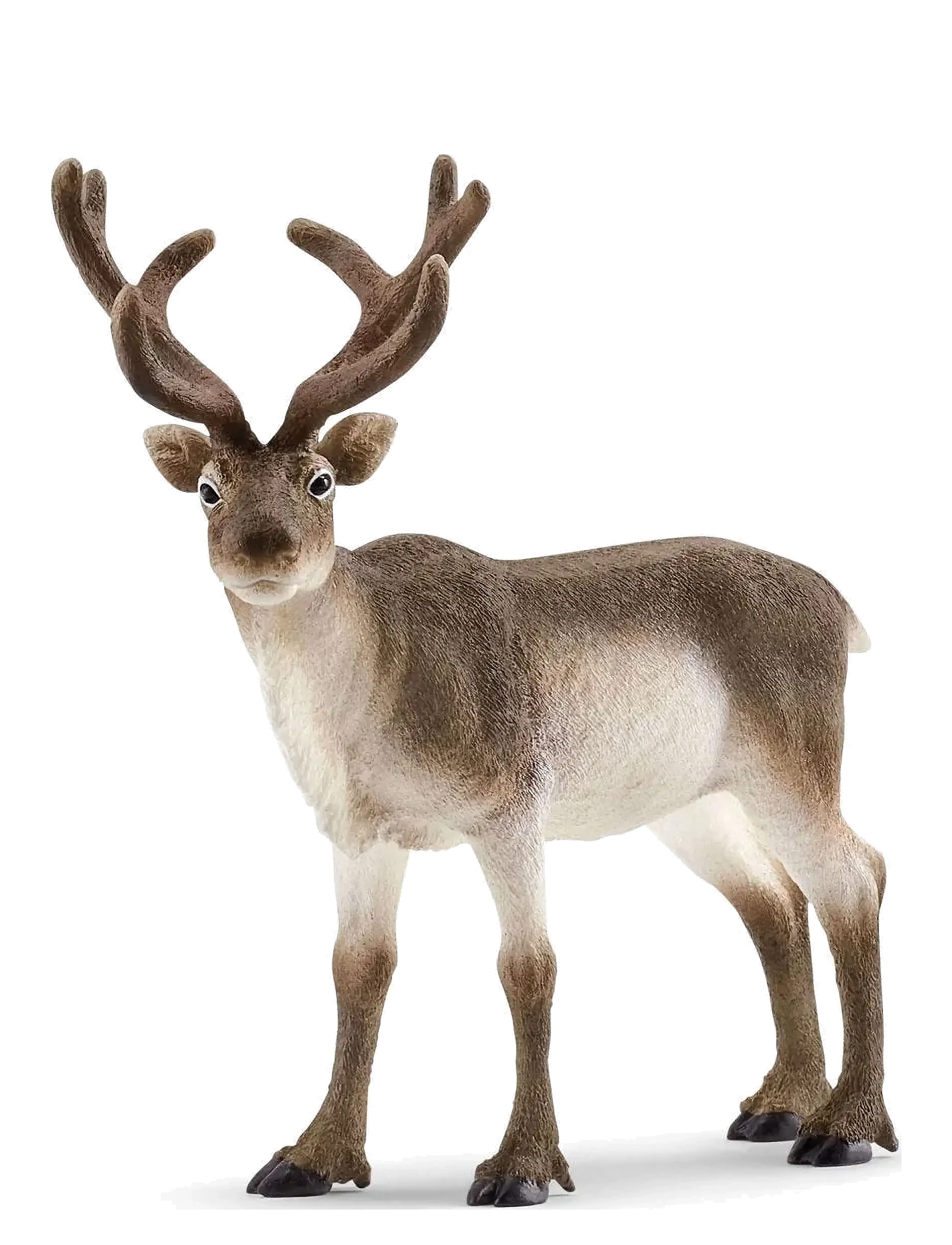 Schleich Schleich Reindeer - App deal - MULTI / brown