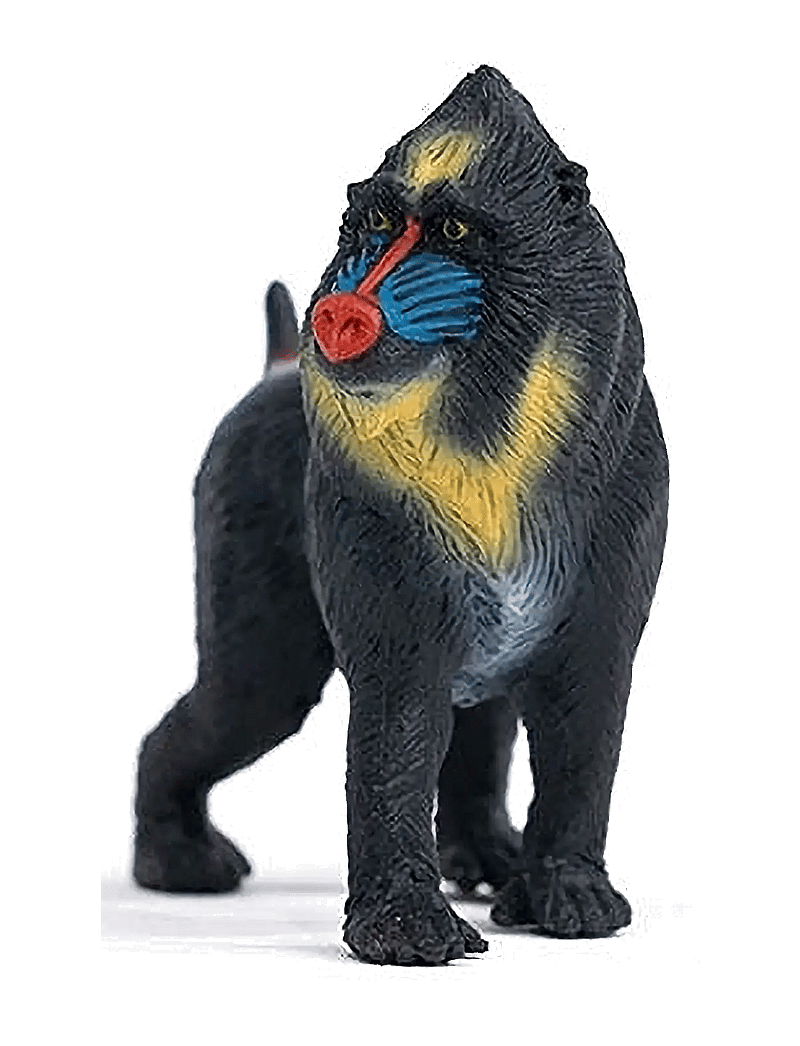 Schleich - Schleich Mandrill - dýr - multi - 4