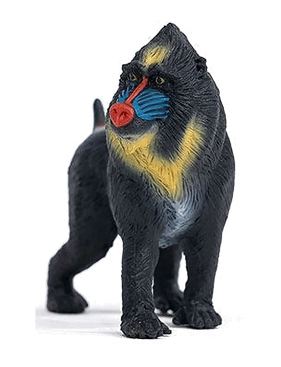 Schleich - Schleich Mandrill - djur - multi - 4