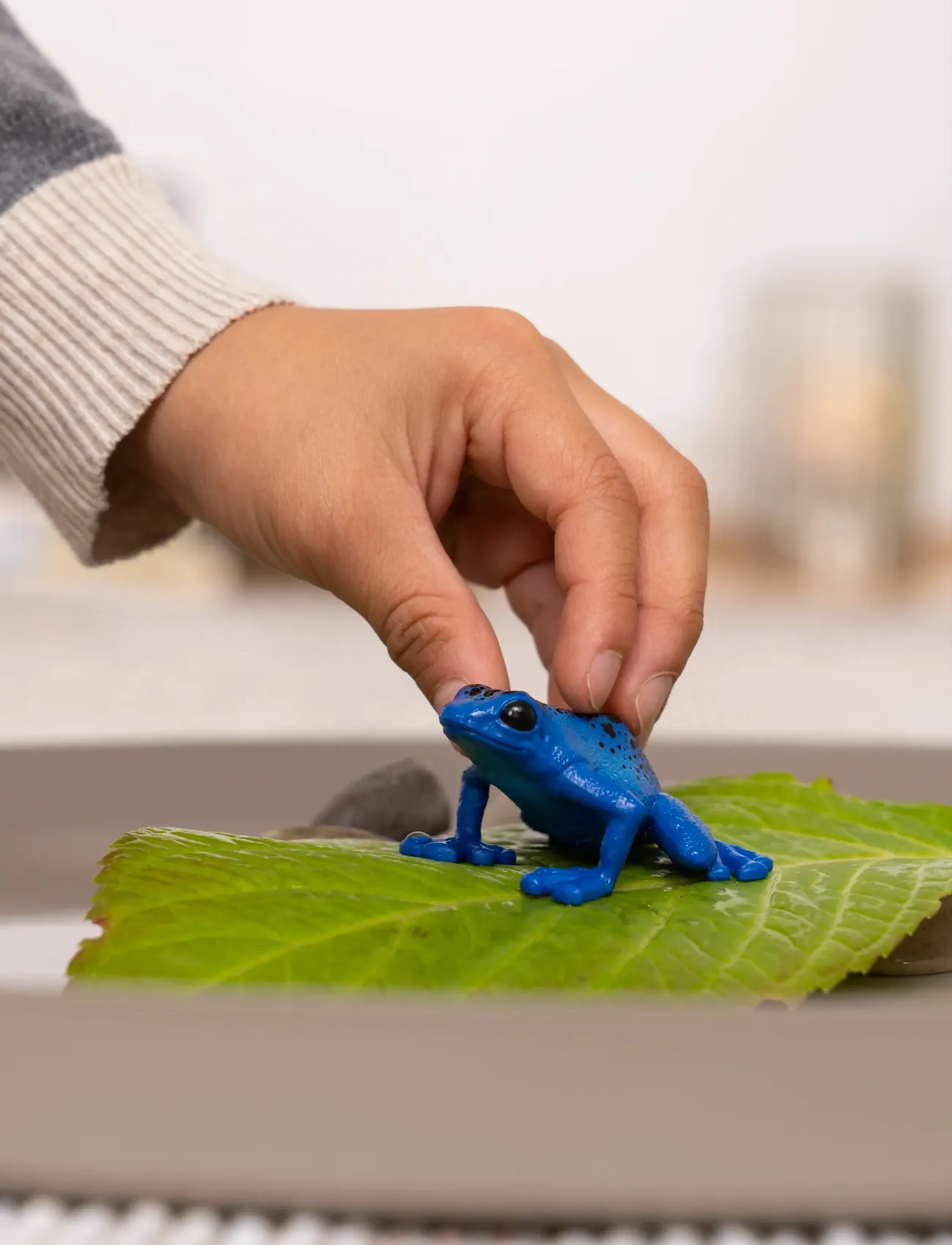 Schleich Schleich Blue Poison Dart Frog, One Size, Multi/patterned, Legesæt & Actionfigurer > Dyr, Børn