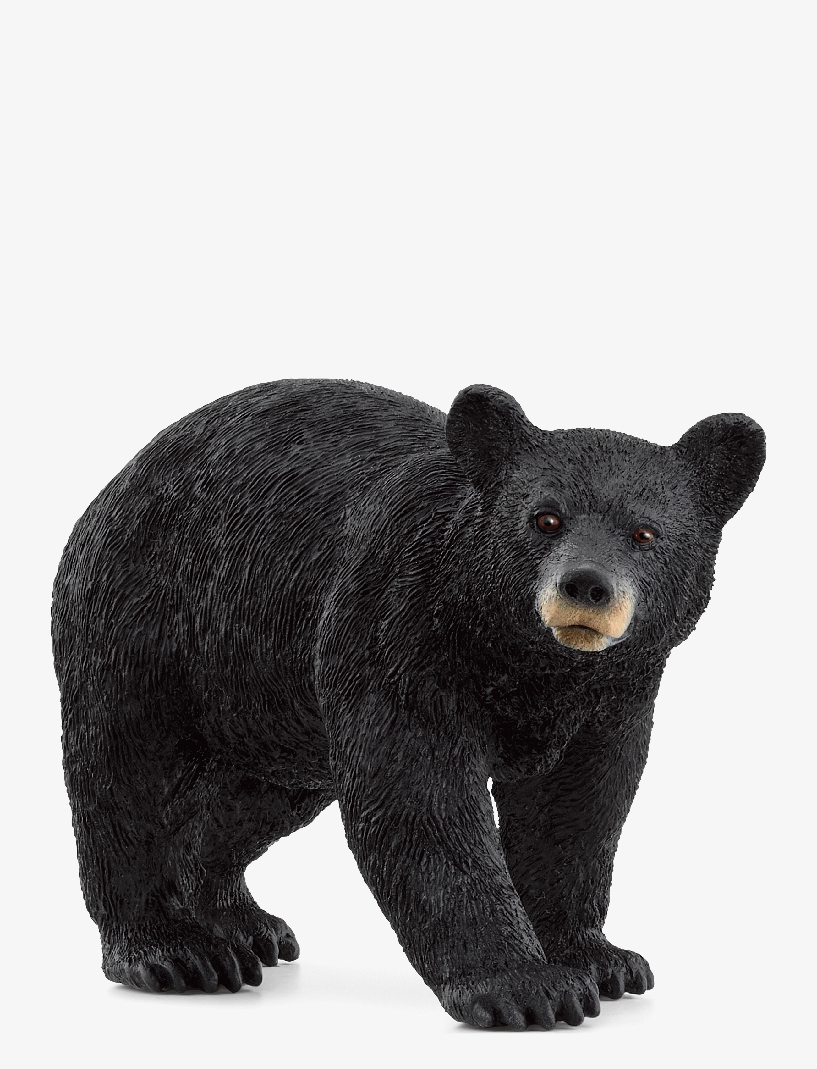 Schleich Schleich American Black Bear - Dyr - MULTI / multi