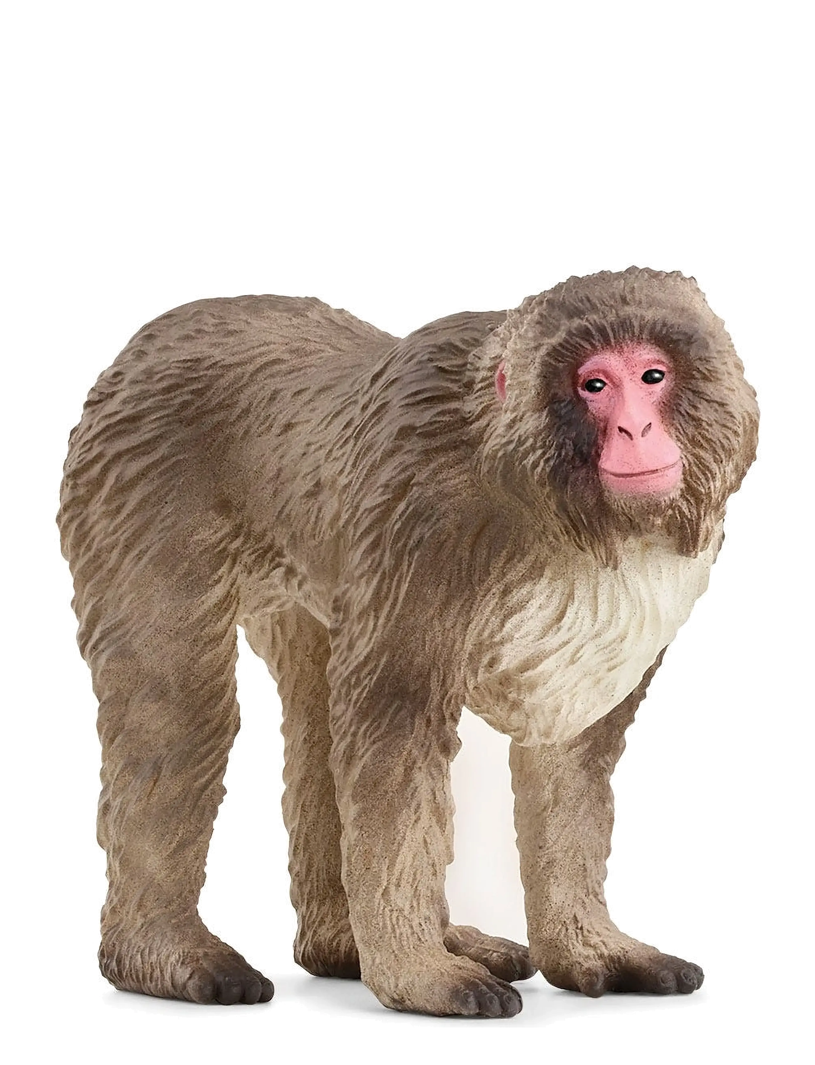 Schleich Japanese Macaque - MULTI