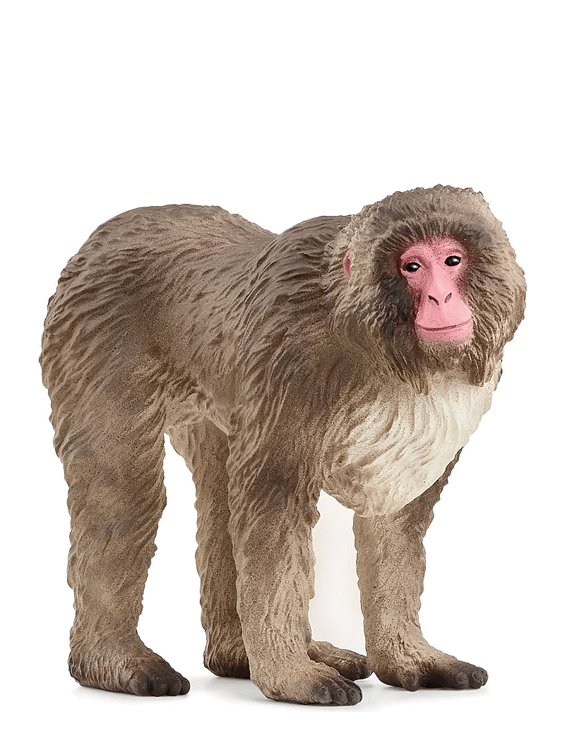 Schleich - Schleich Japanese Macaque - dýr - multi - 1