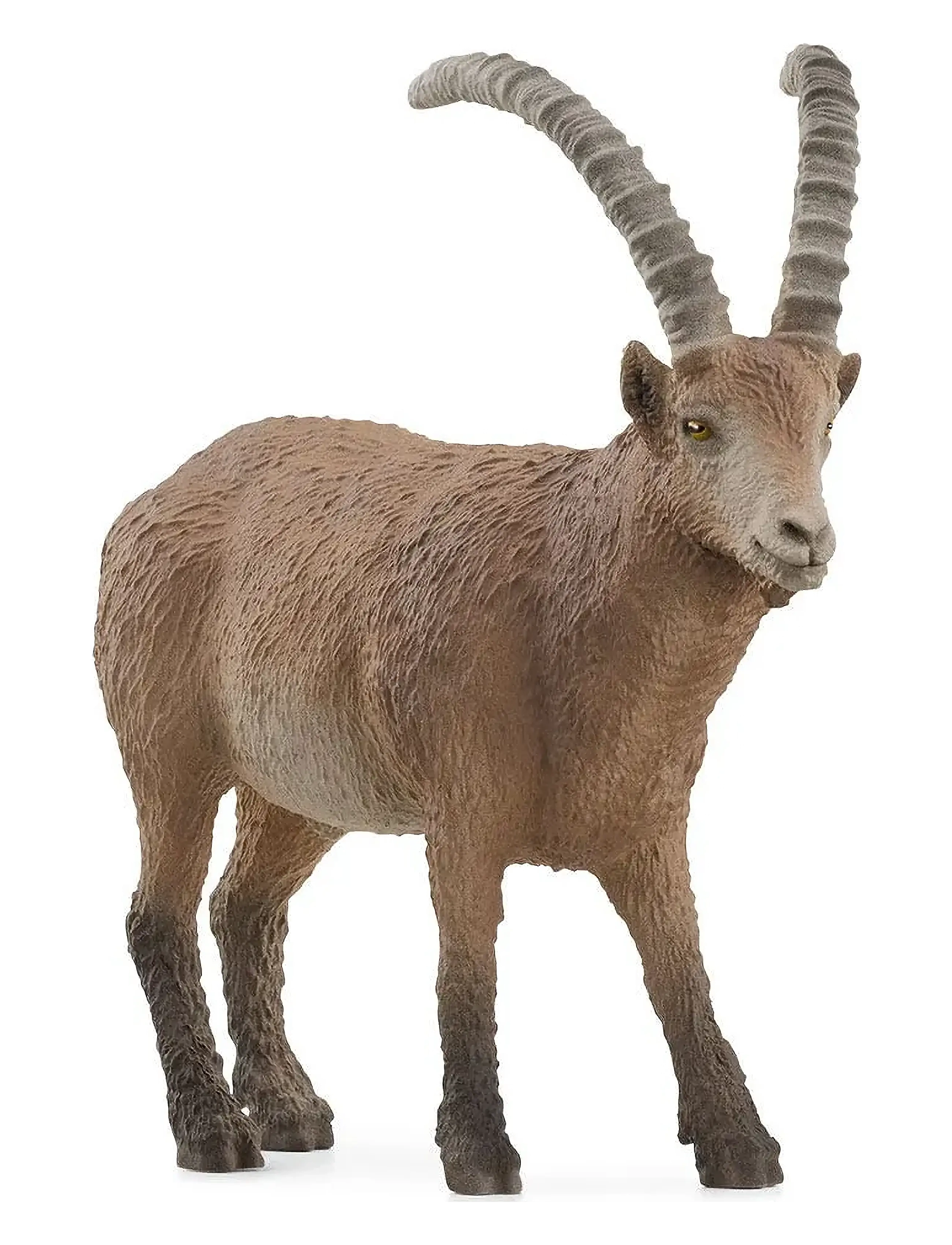Schleich Ibex, Børn, Dyr, Beige, Str: ONE SIZE
