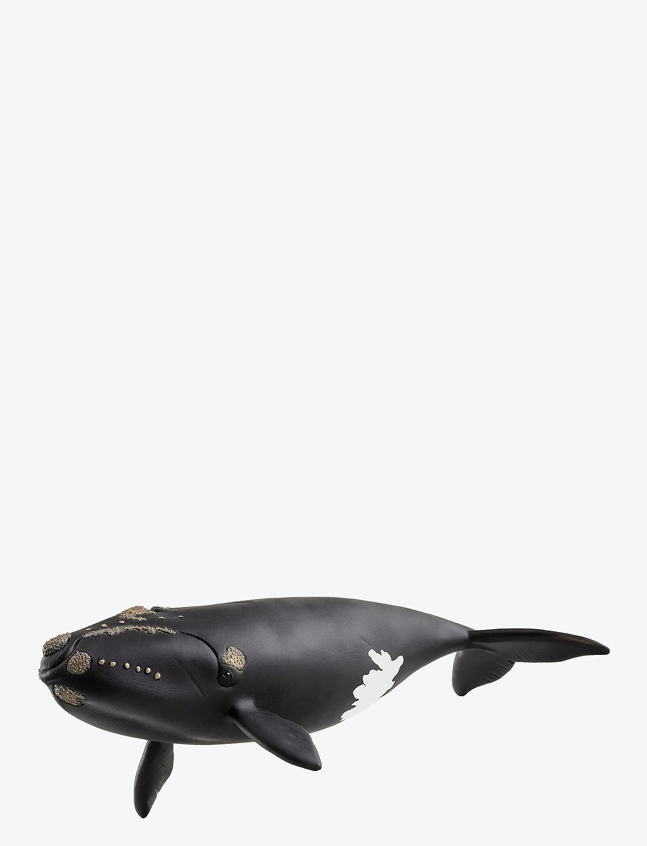 Schleich - Schleich North Atlantic Right Whale - djur - muti - 1