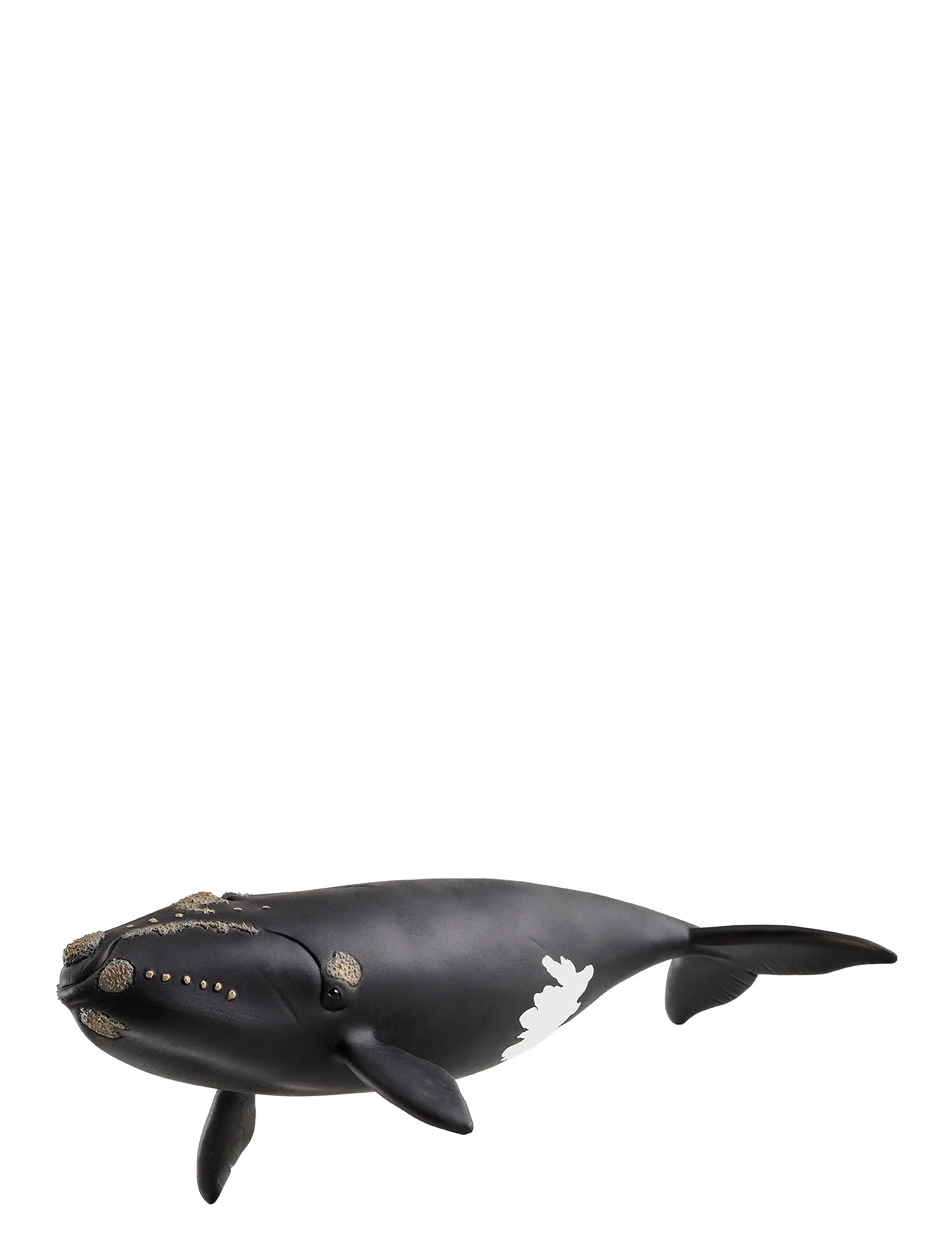 Schleich Schleich North Atlantic Right Whale - Legetøj - MUTI / black