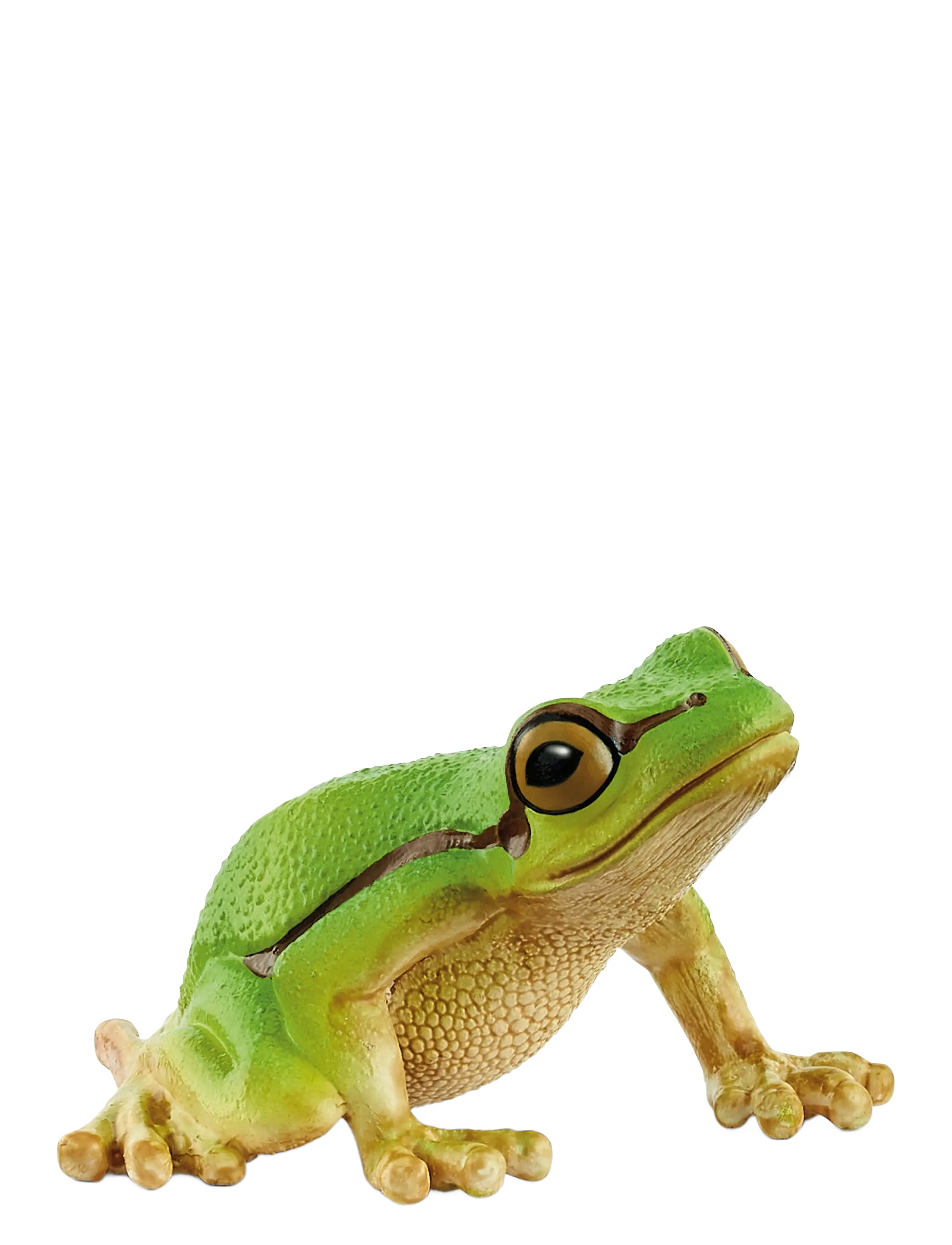 Schleich Schleich  European Tree Frog - App deal - MUTI / multi