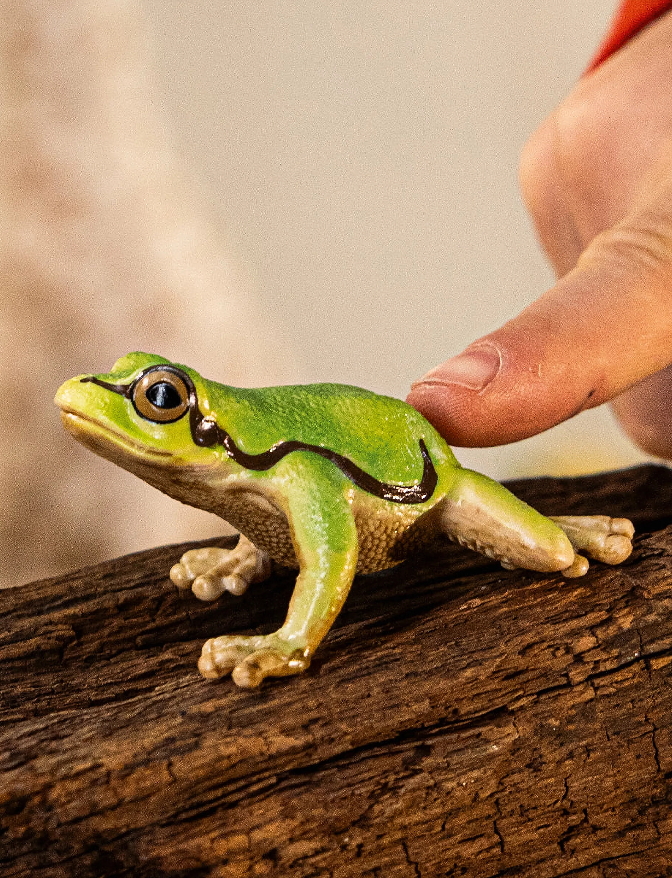 Schleich European Tree Frog, Børn, Dyr, Multi/mønstret, Str: ONE SIZE