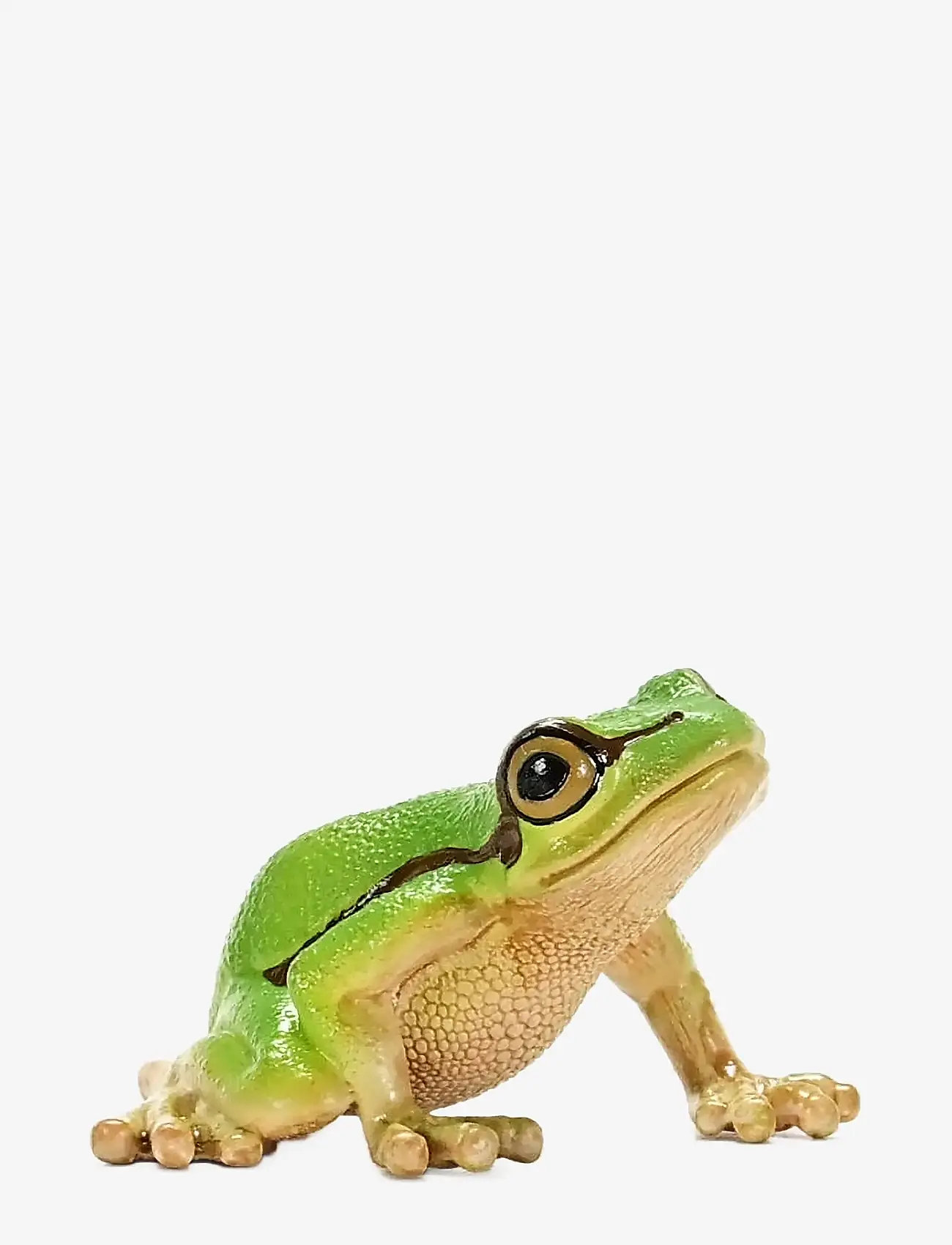 Schleich - Schleich  European Tree Frog - dyr - muti - 5