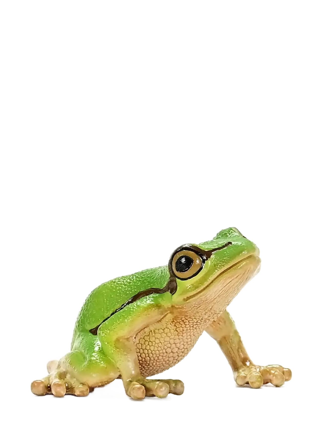 Schleich - Schleich  European Tree Frog - dyr - muti - 5