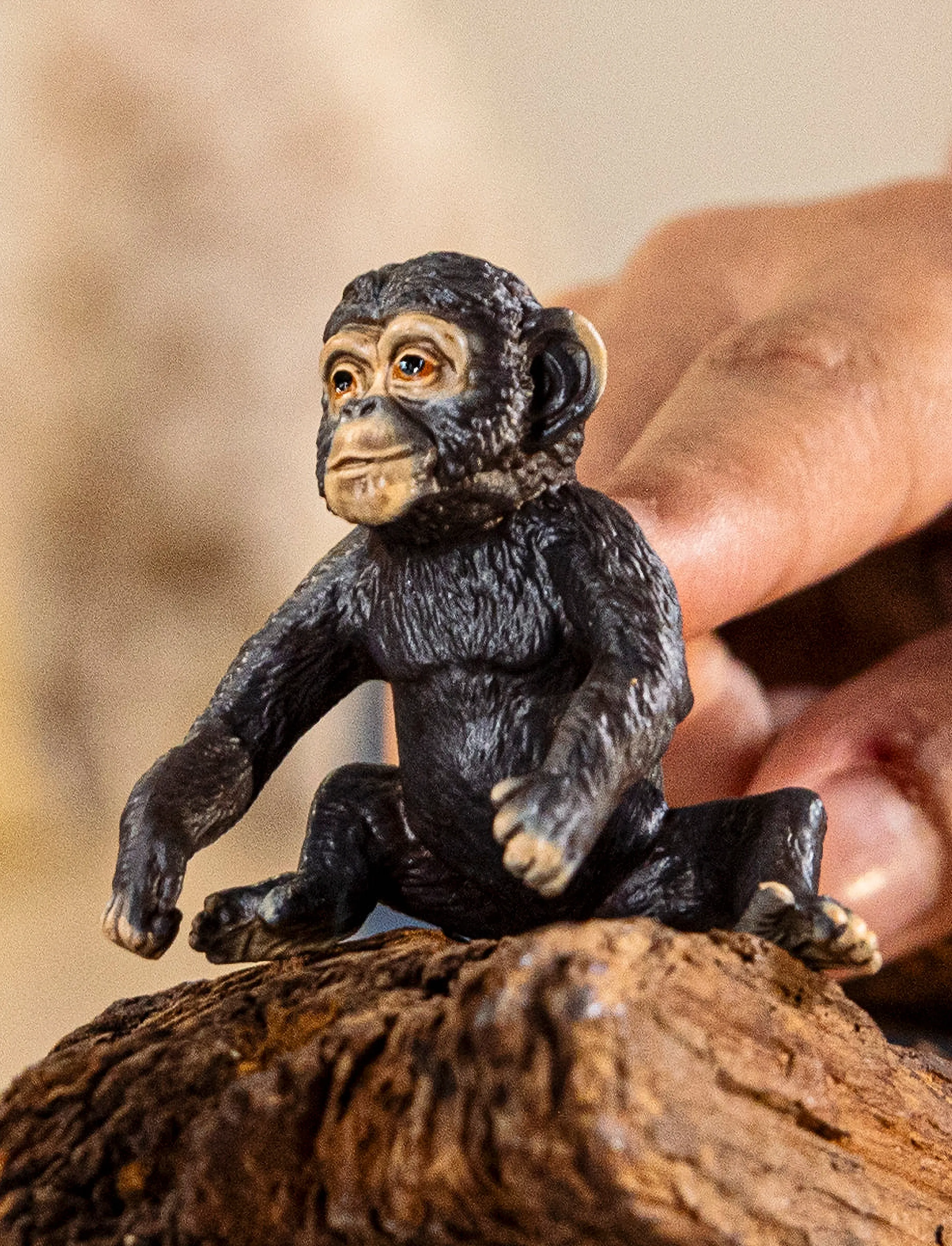 Schleich Schleich Chimpanzee Cub, One Size, Brown, Legesæt & Actionfigurer > Dyr, Børn