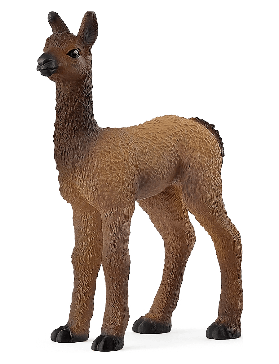 Schleich - Schleich Llama Foal - djur - muti - 1