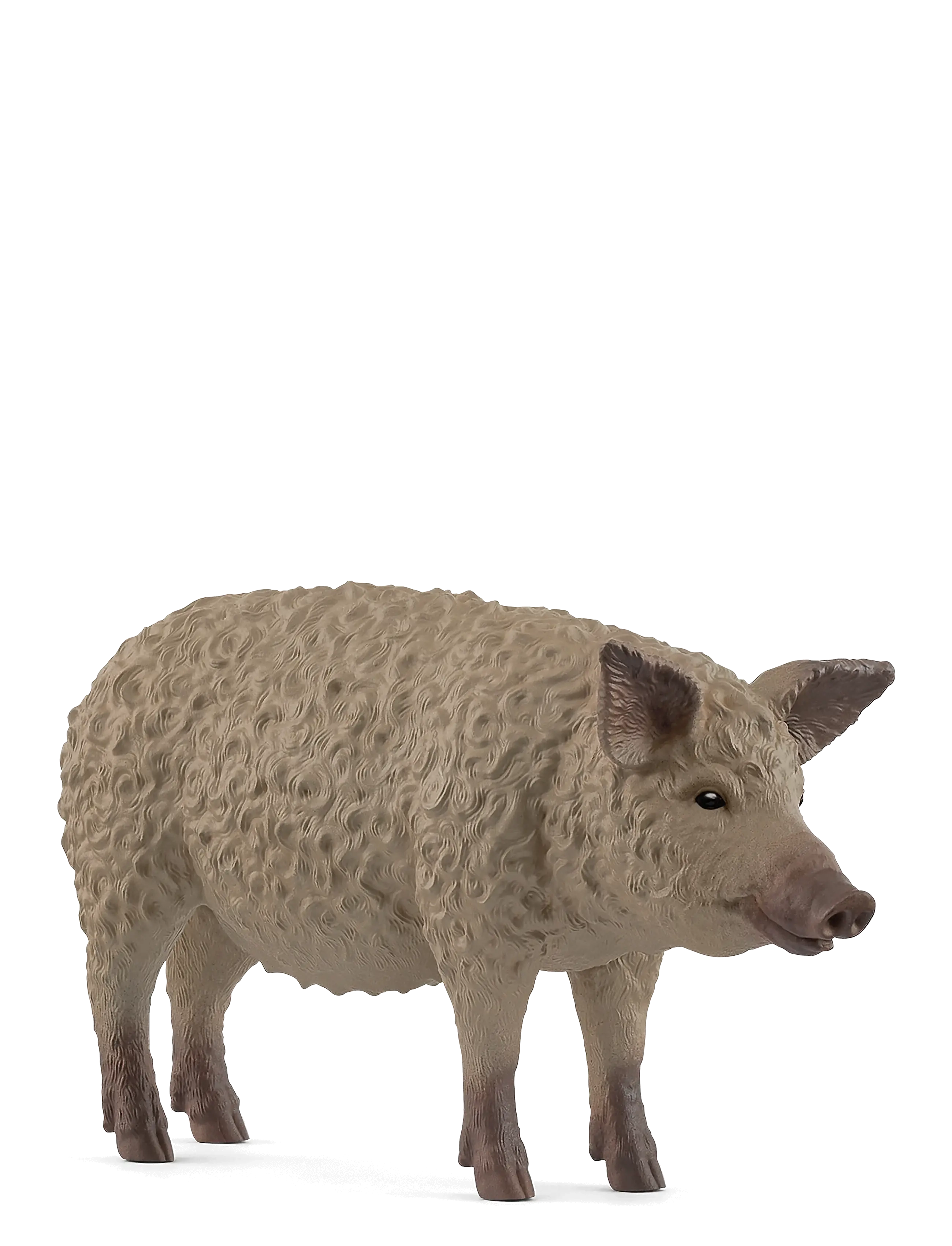 Schleich Schleich Mangalica - 4 for 3 - MUTI / multi