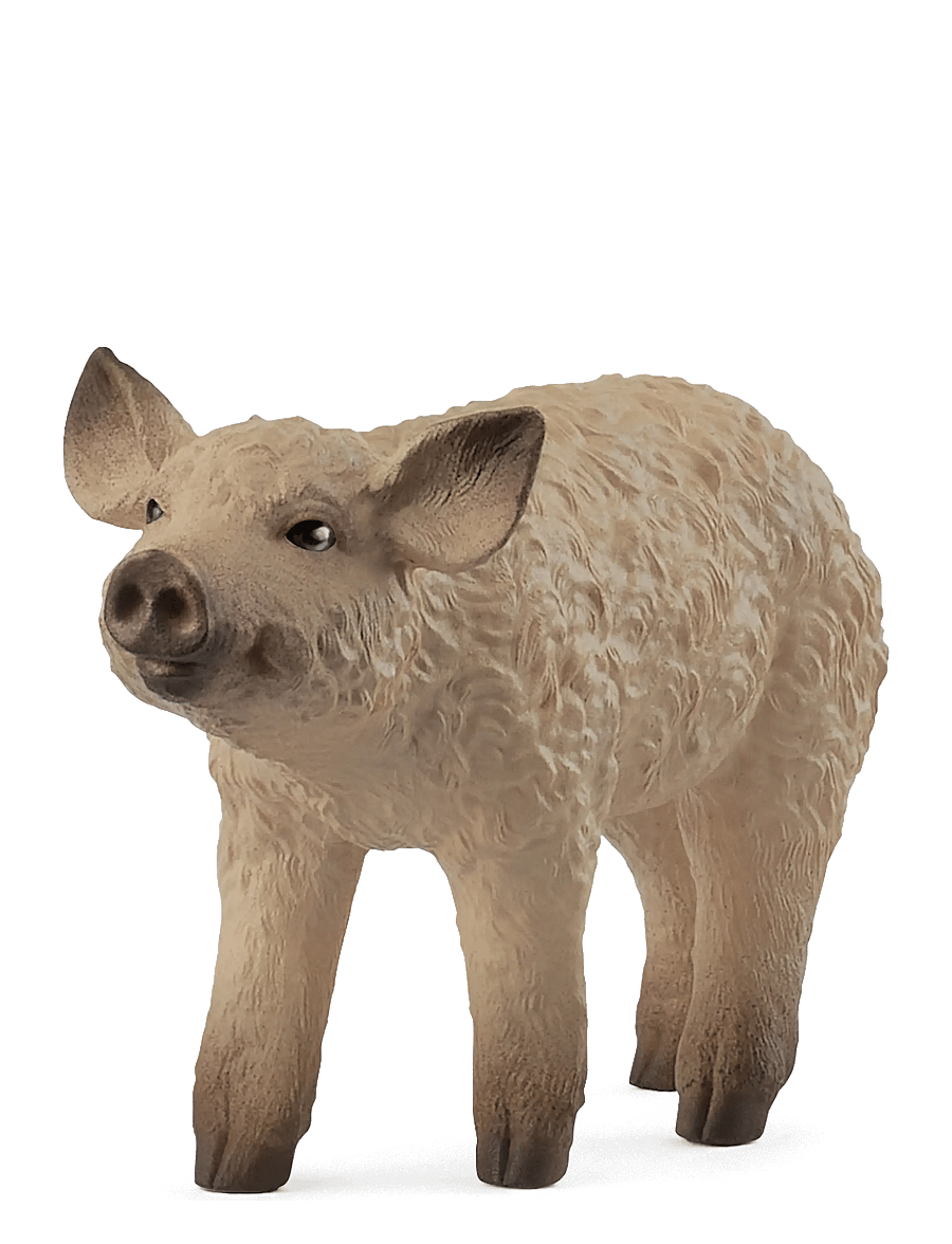Schleich - Schleich Mangalica Piglet - djur - muti - 1