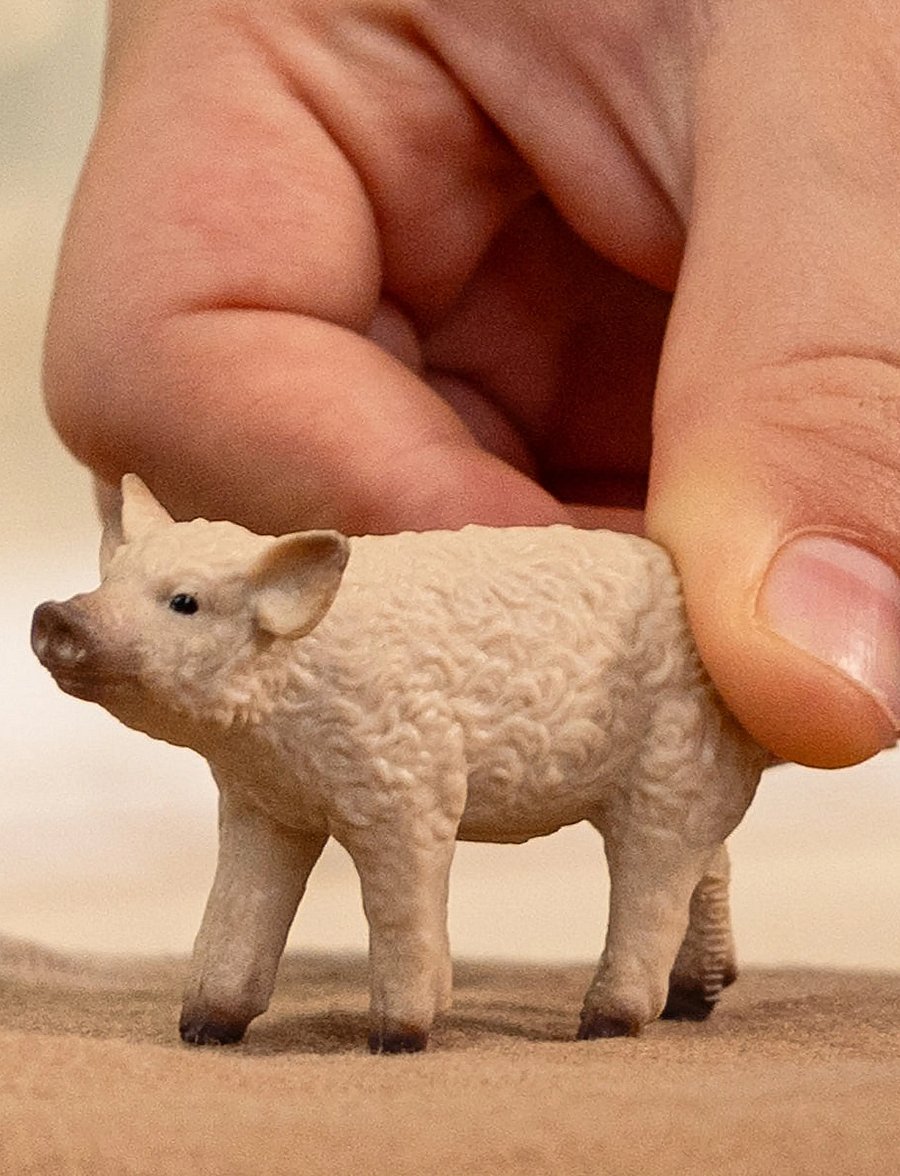 Schleich - Schleich Mangalica Piglet - djur - muti - 0