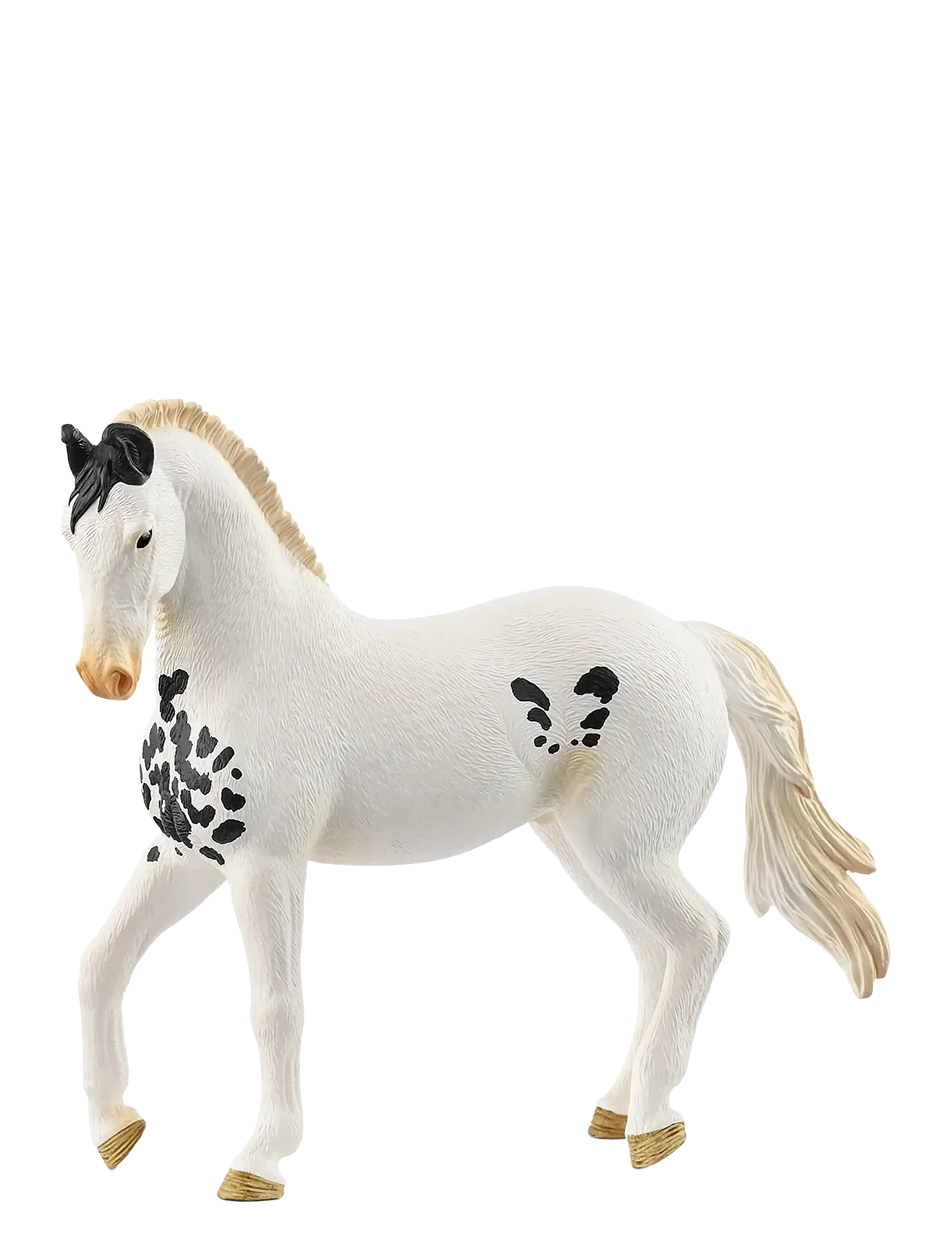 Schleich Schleich Marwari Stallion - 4 for 3 - MUTI / white