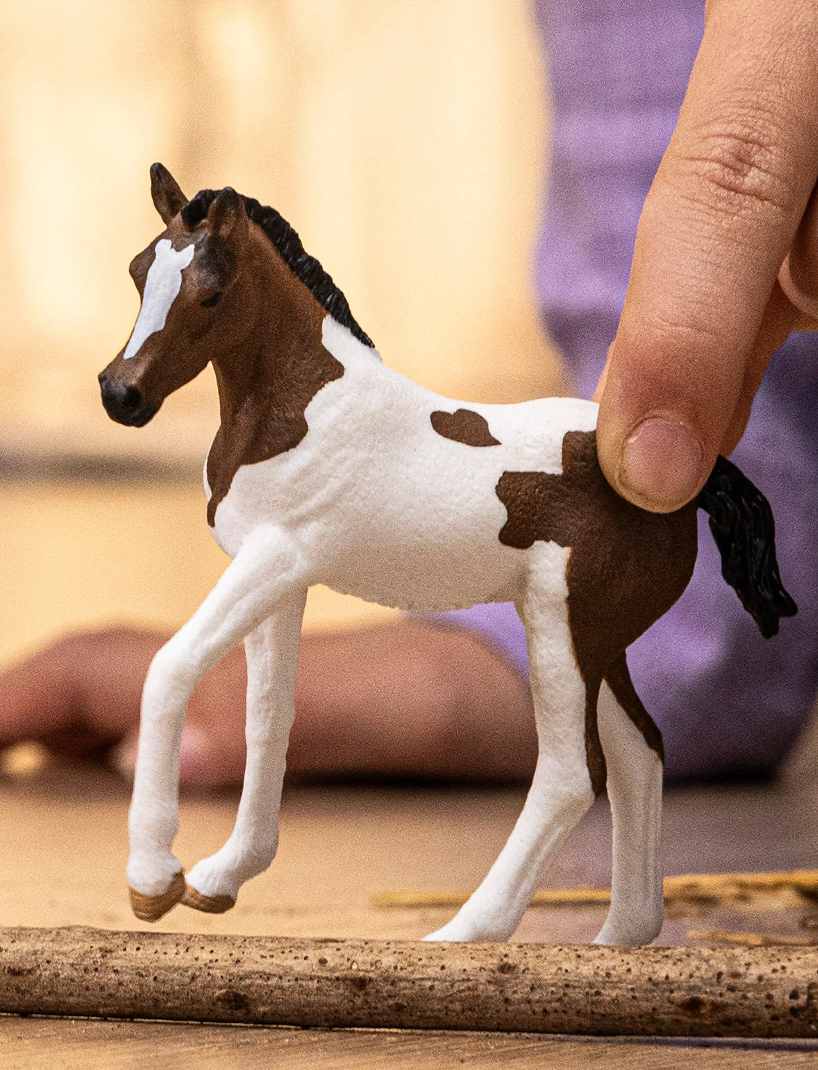 Schleich Paint Horse Foal, Børn, Dyr, Multi/mønstret, Str: ONE SIZE