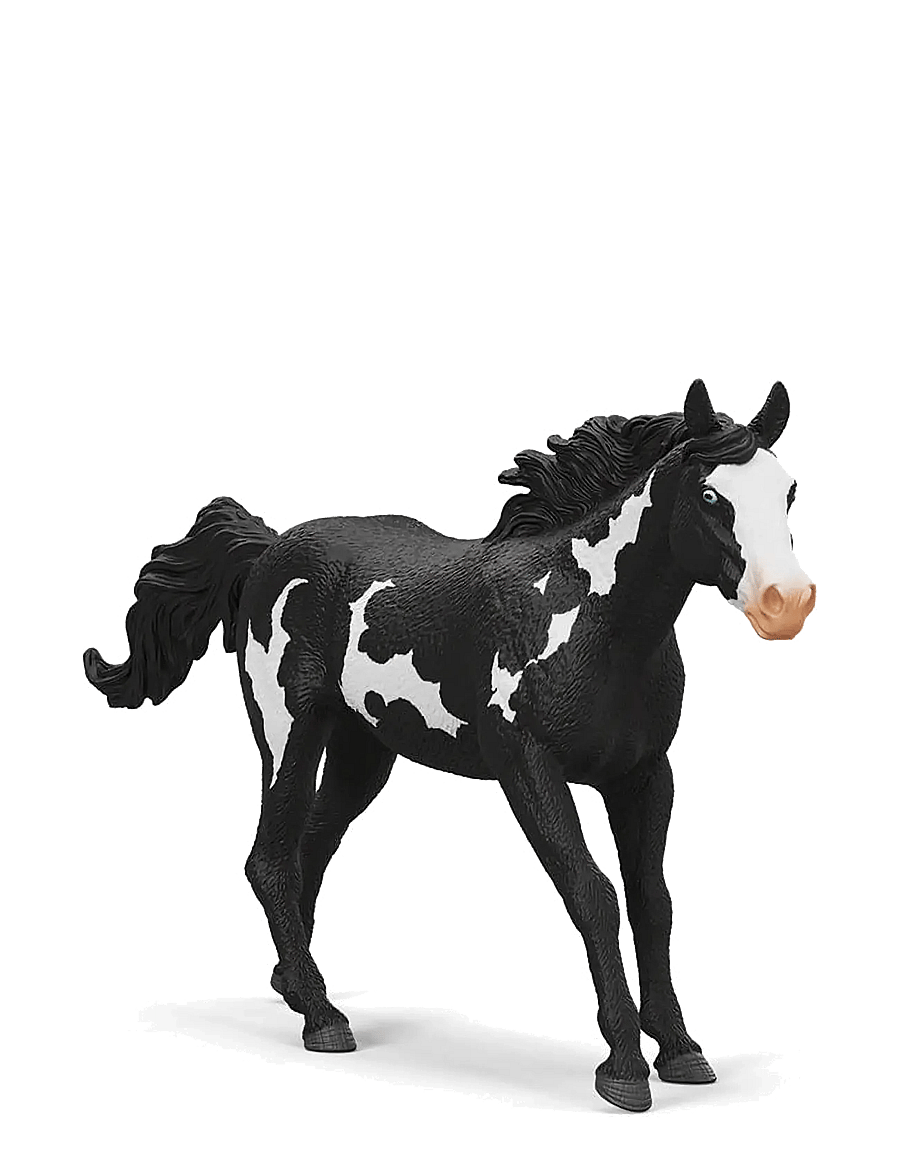 Schleich - Schleich Paint Horse Gelding - lowest prices - muti - 4