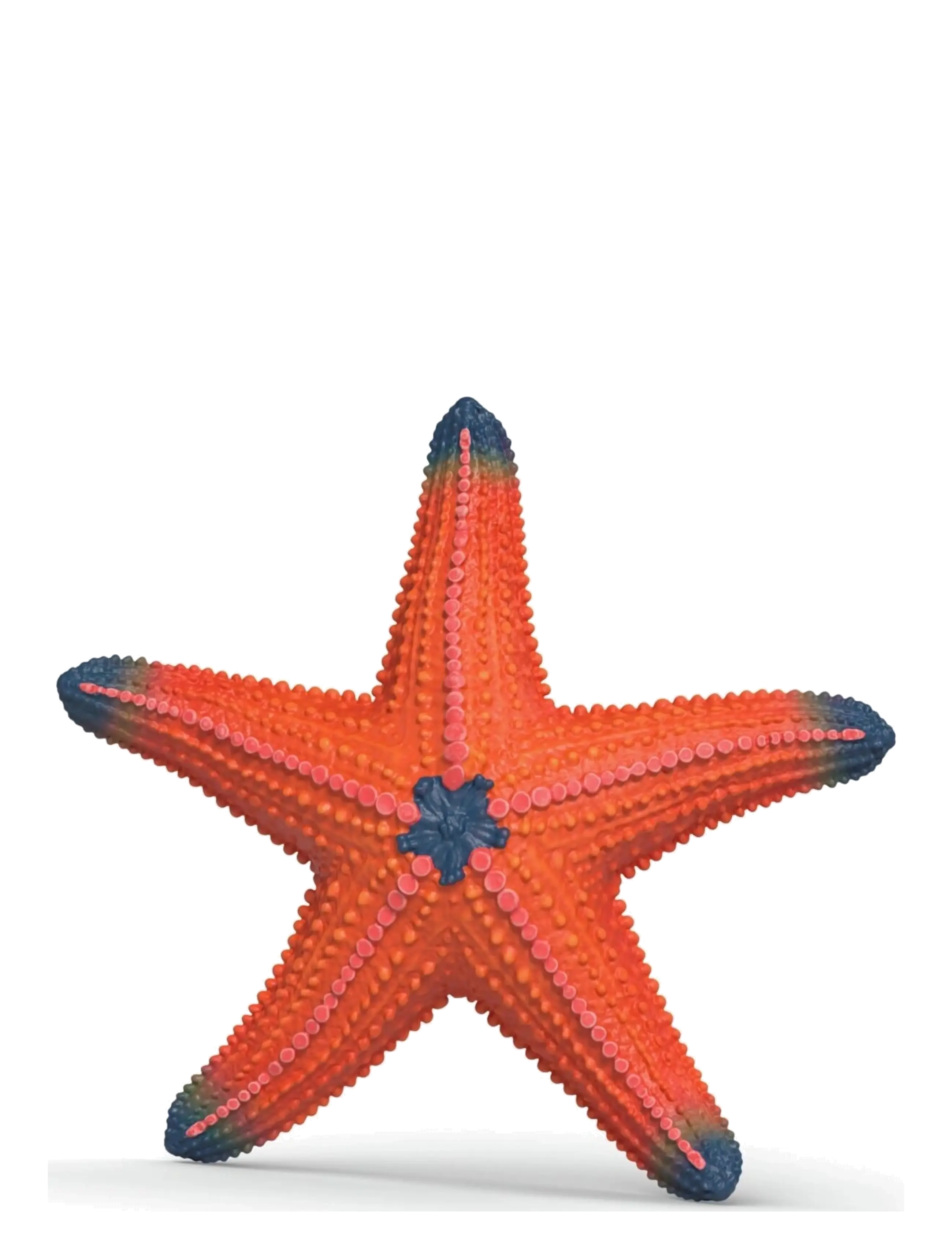 Schleich Schleich Starfish with color change - Schleich - MULTI / multi