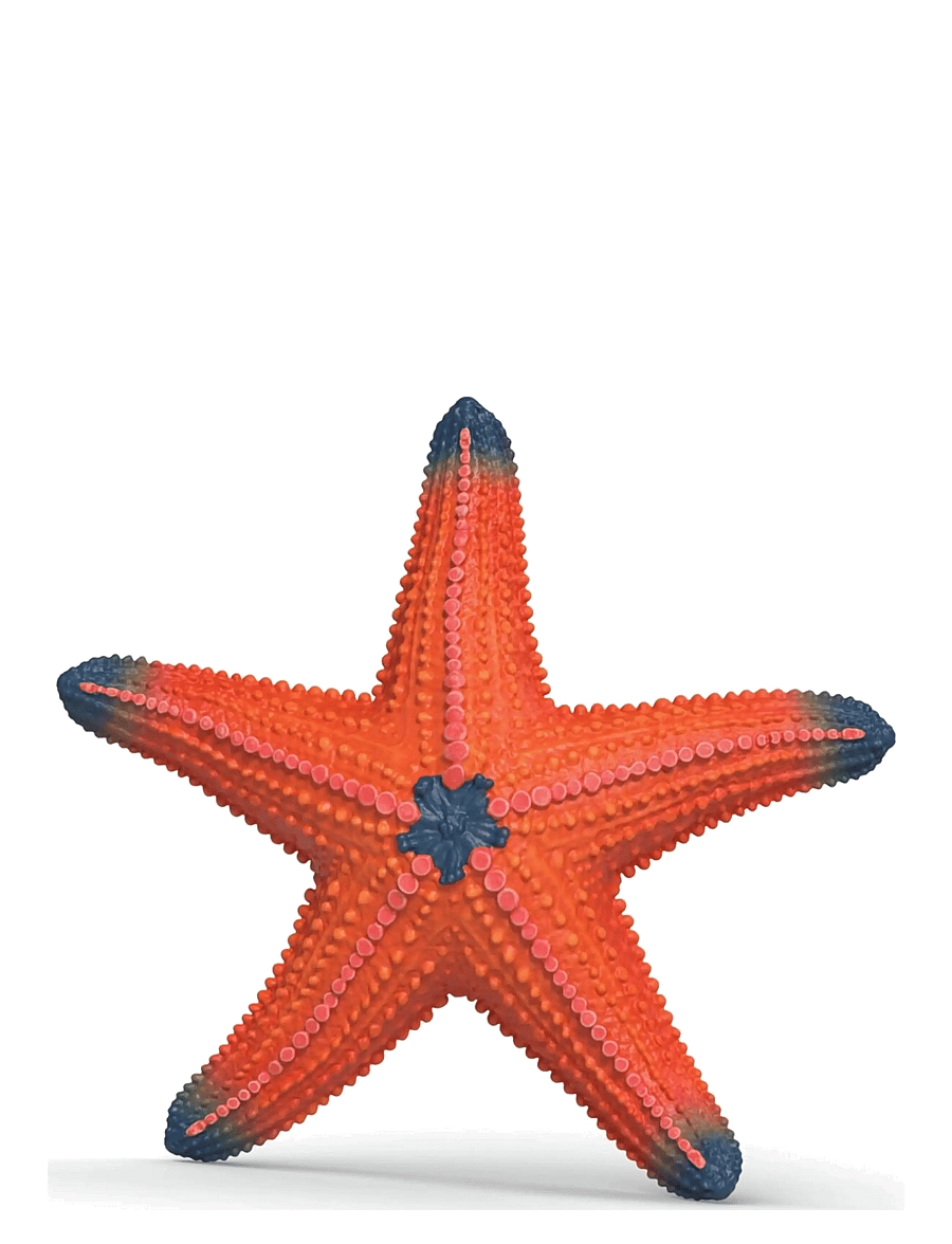 Schleich - Schleich Starfish with color change - multi - 0