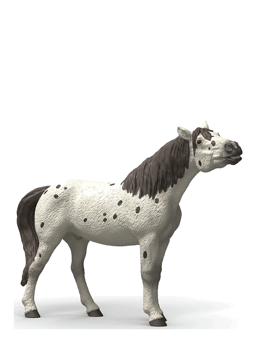Schleich - Schleich Knabstrupper Gelding - dyr - multi - 0