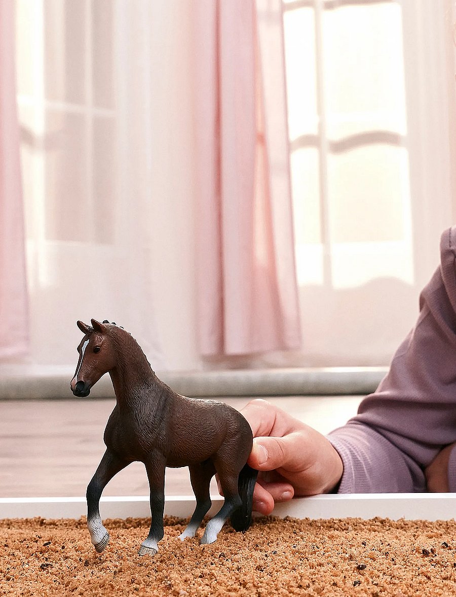 Schleich - Schleich KWPN Gelding - dýr - multi - 5