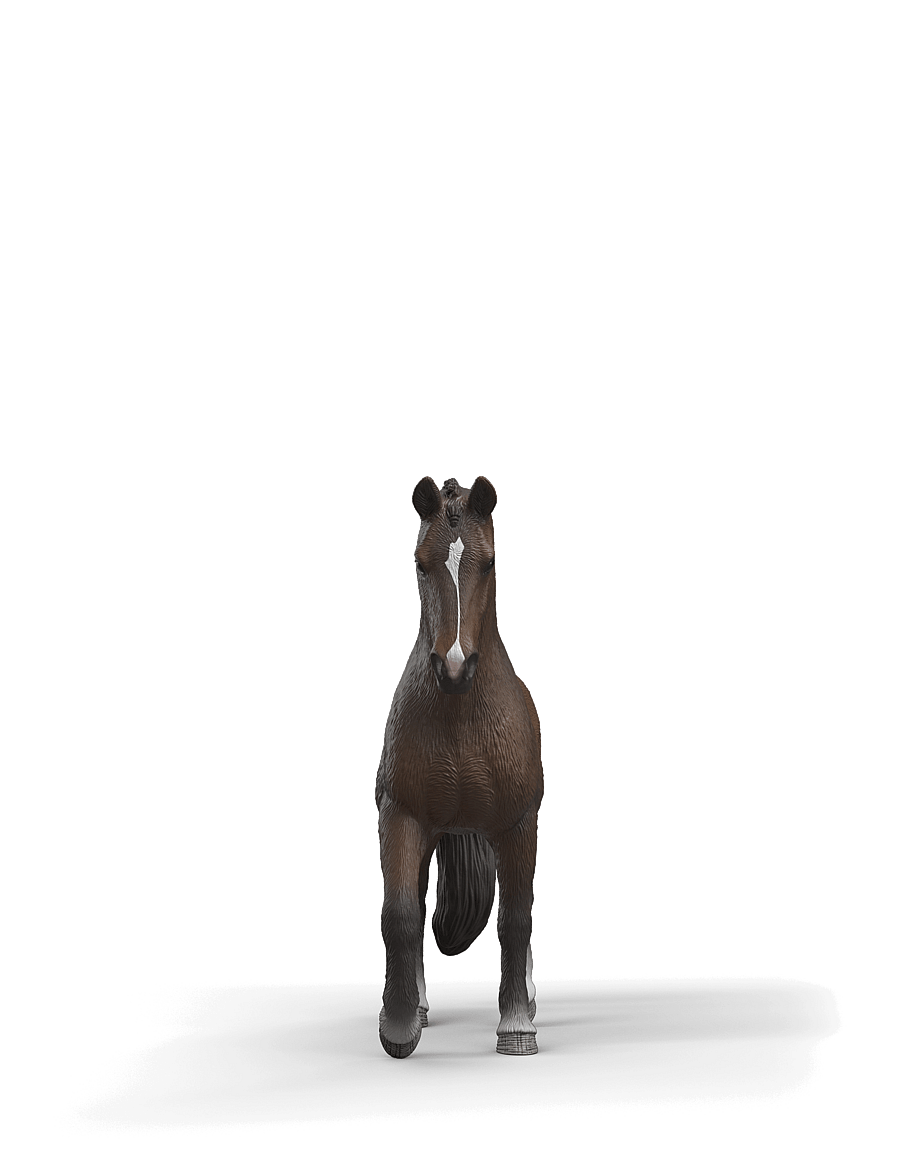Schleich - Schleich KWPN Gelding - dýr - multi - 2