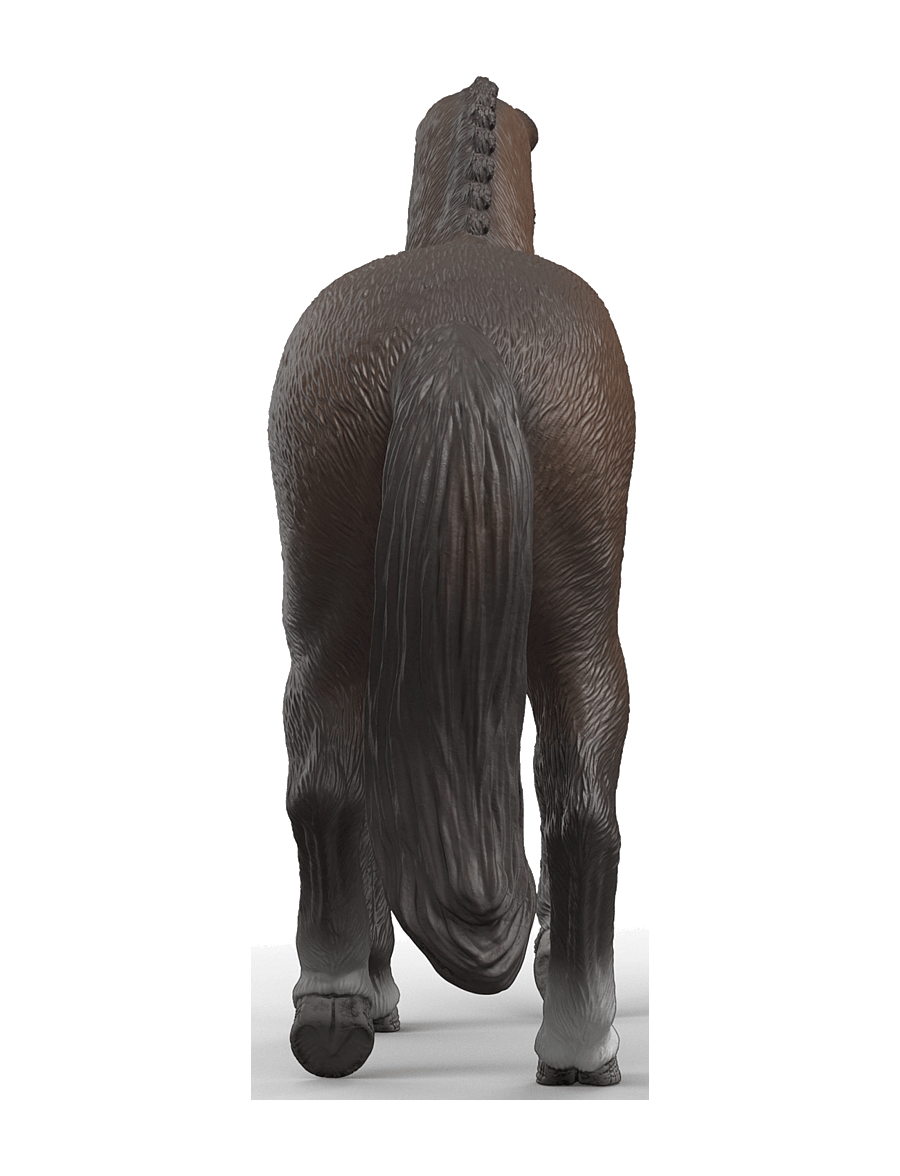 Schleich - Schleich KWPN Gelding - dýr - multi - 3