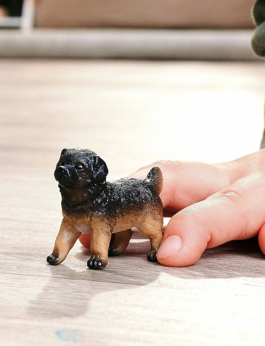 Schleich - Schleich German Shepherd puppy - dýr - multi - 0