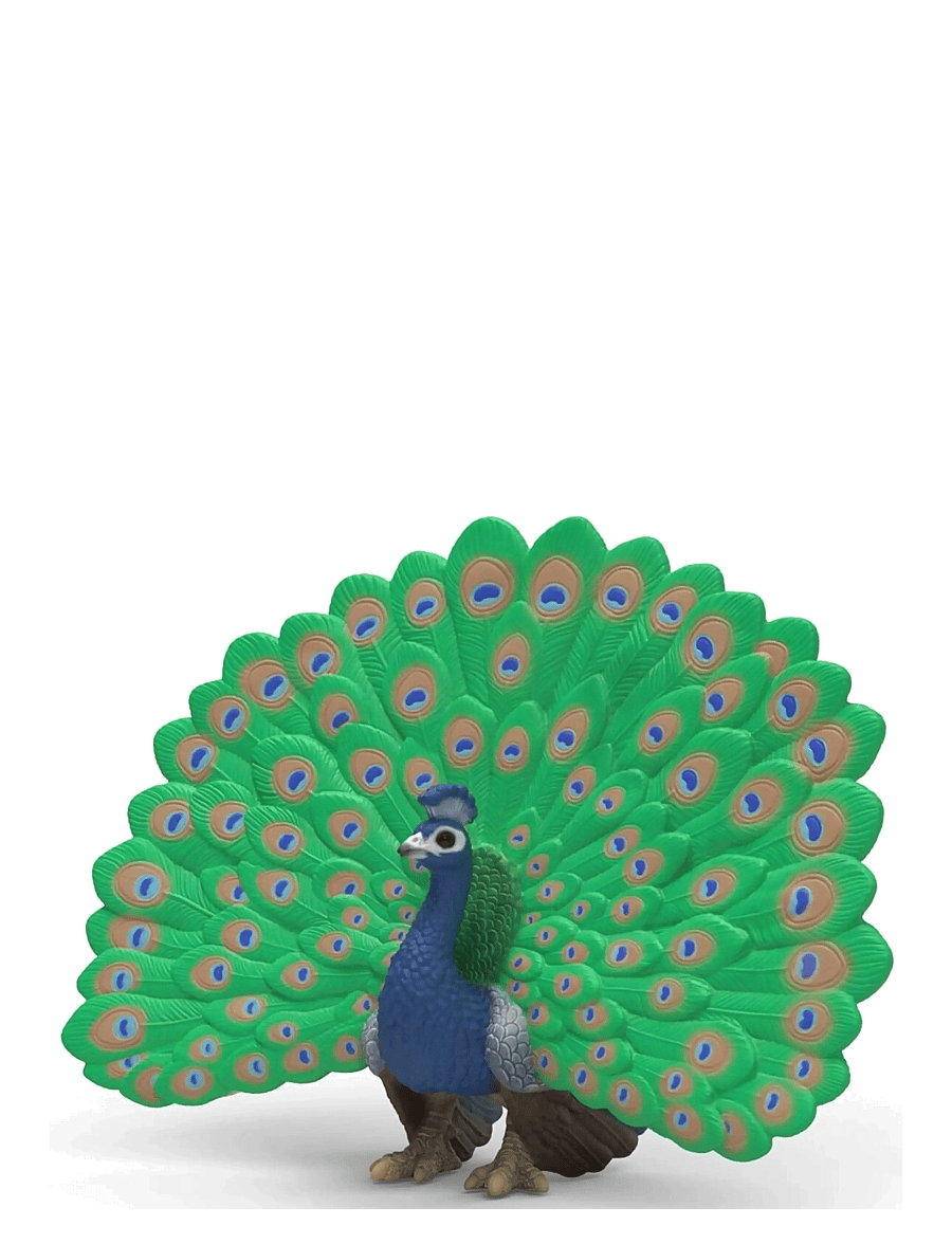 Schleich - Schleich Peacock - dýr - multi - 0