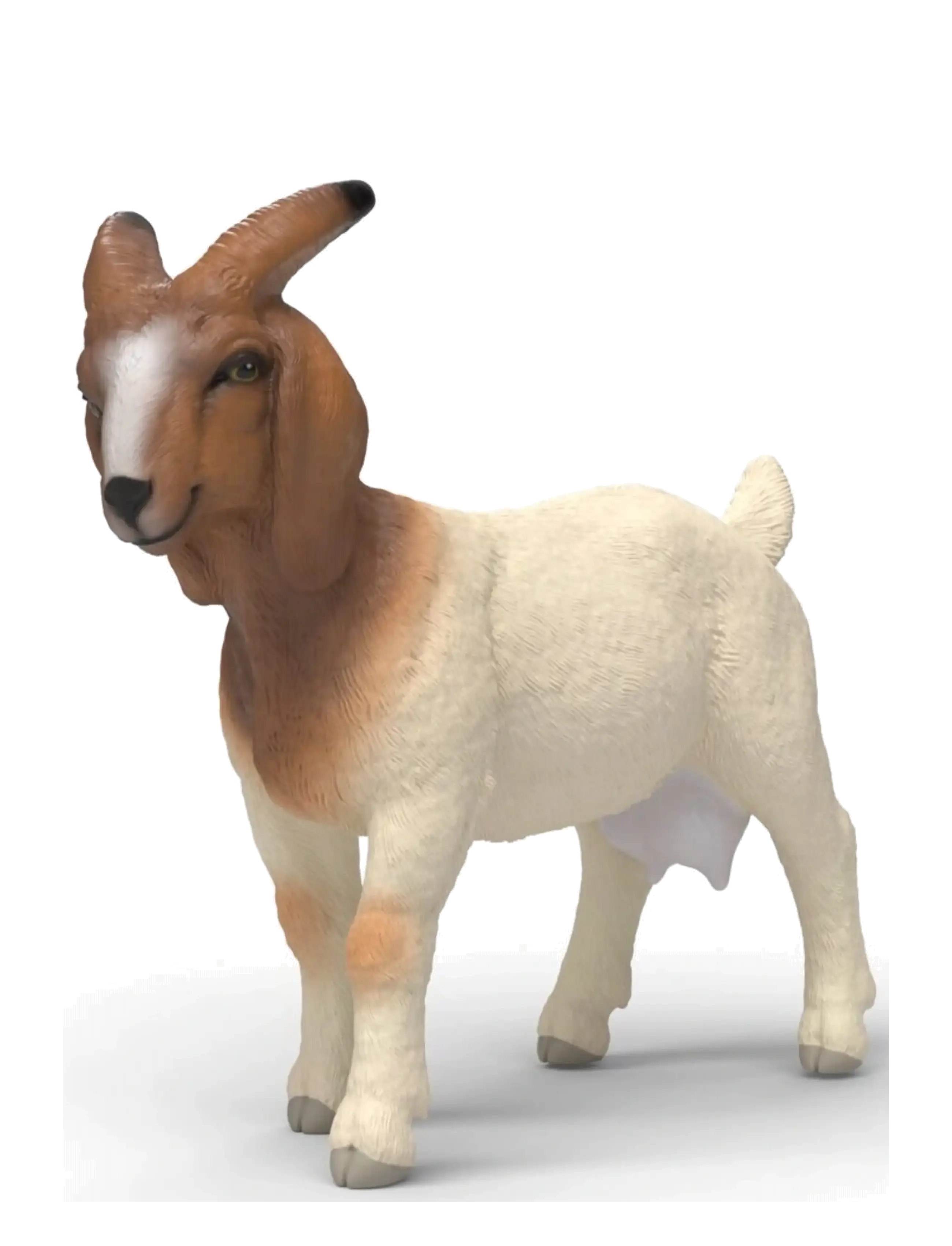 Schleich Schleich Boer Goat - Leksaker - MULTI / cream