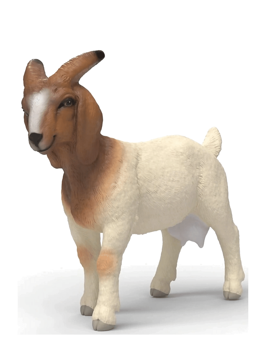 Schleich - Schleich Boer Goat - djur - multi - 1