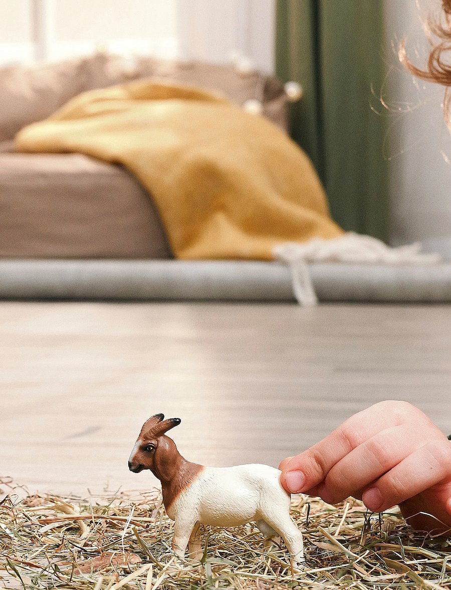 Schleich - Schleich Boer Goat - djur - multi - 0
